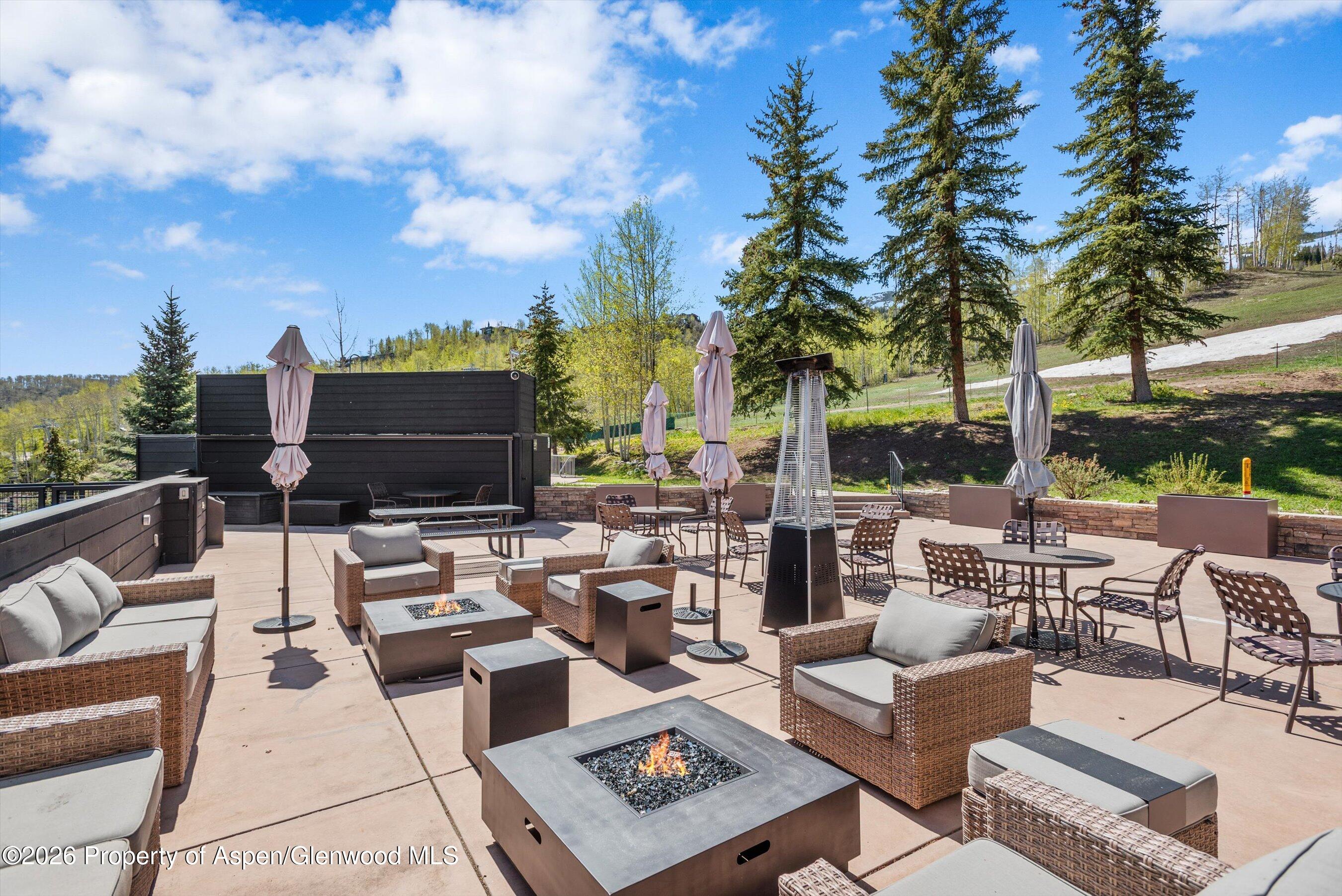 690 Carriage Way Snowmass Village CO 81615