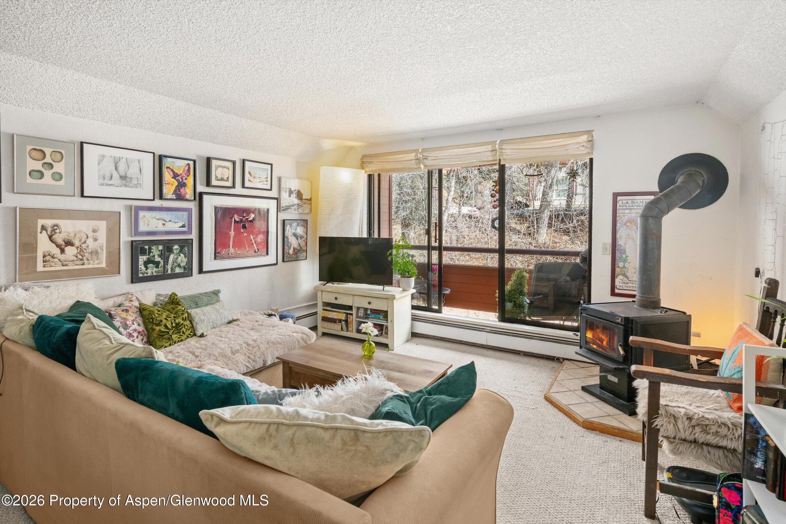 Aspen CO, 1325 Vine Street