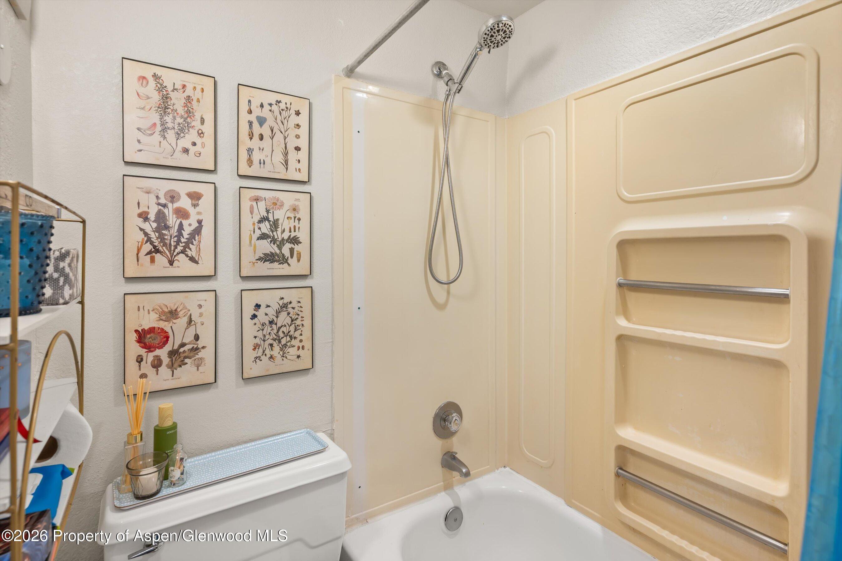 1325 Vine Street Aspen CO 81611