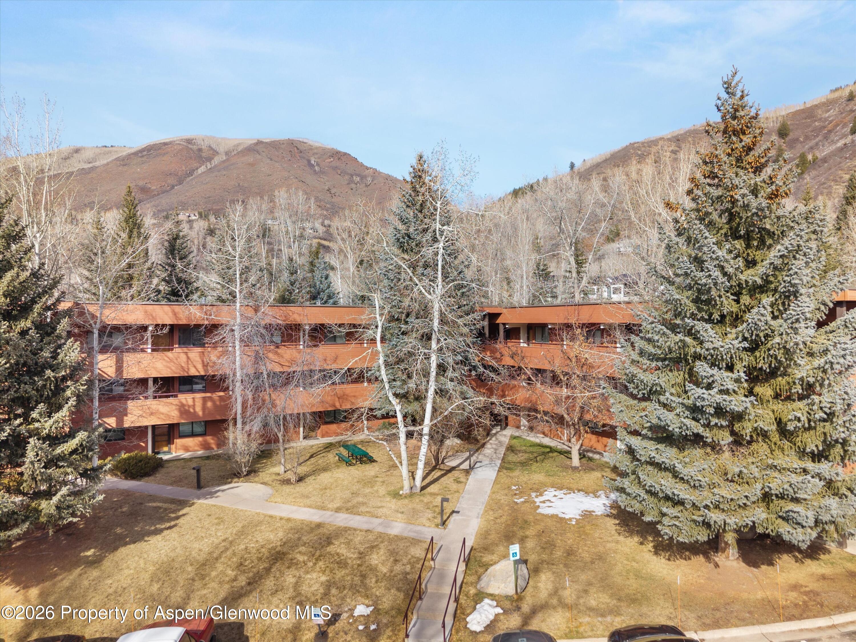 1325 Vine Street Aspen CO 81611