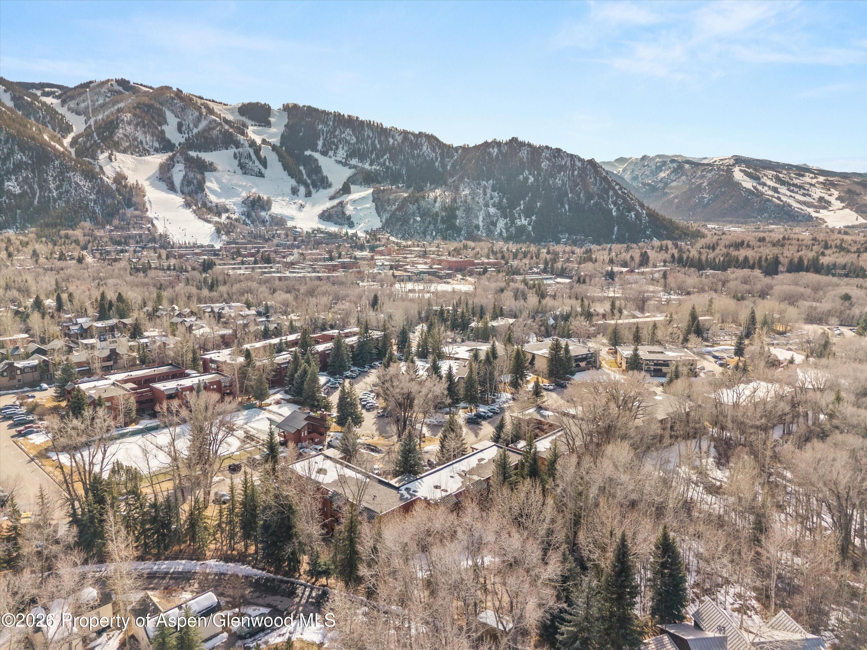 1325 Vine Street Aspen CO 81611