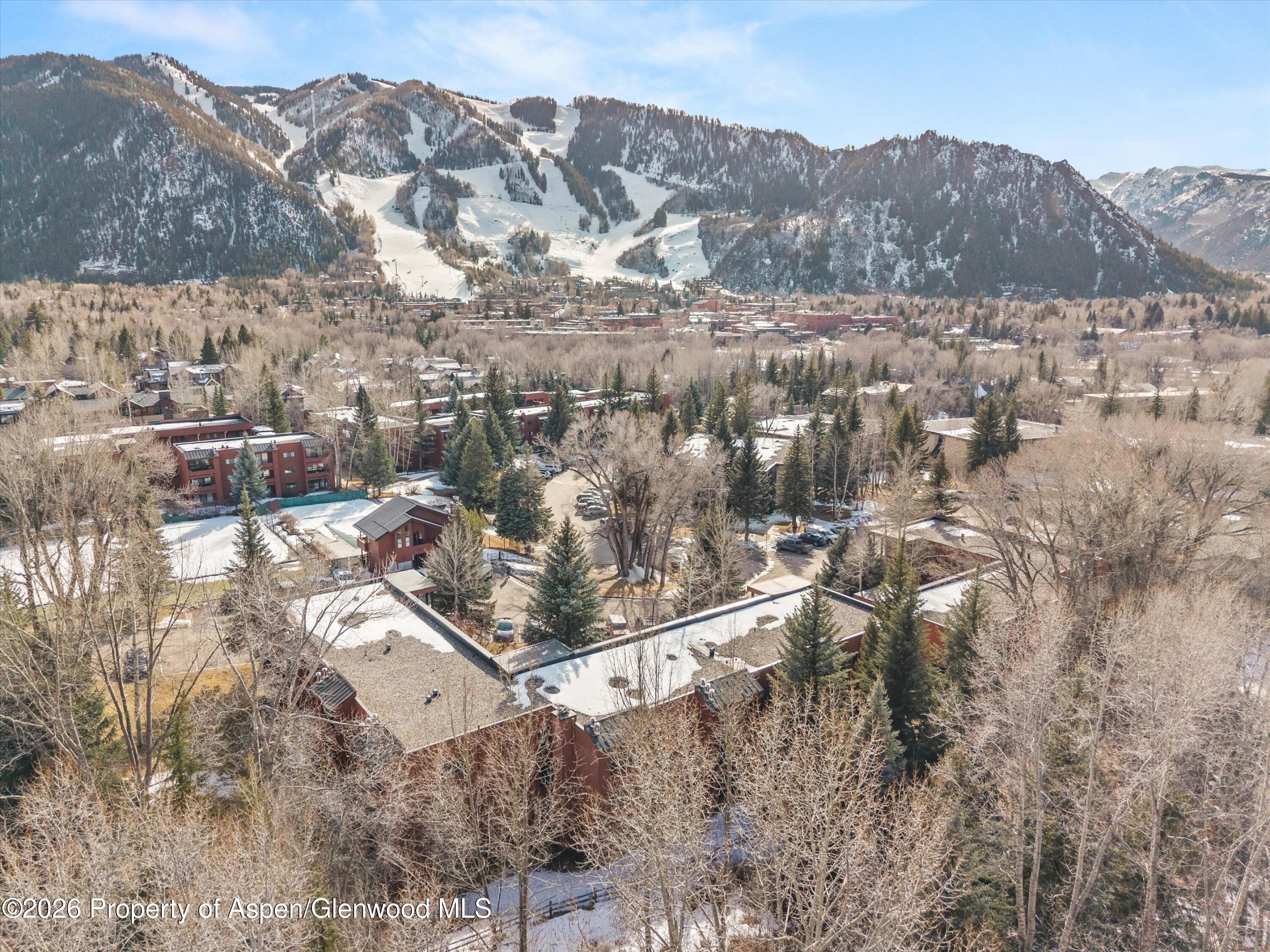 1325 Vine Street Aspen CO 81611