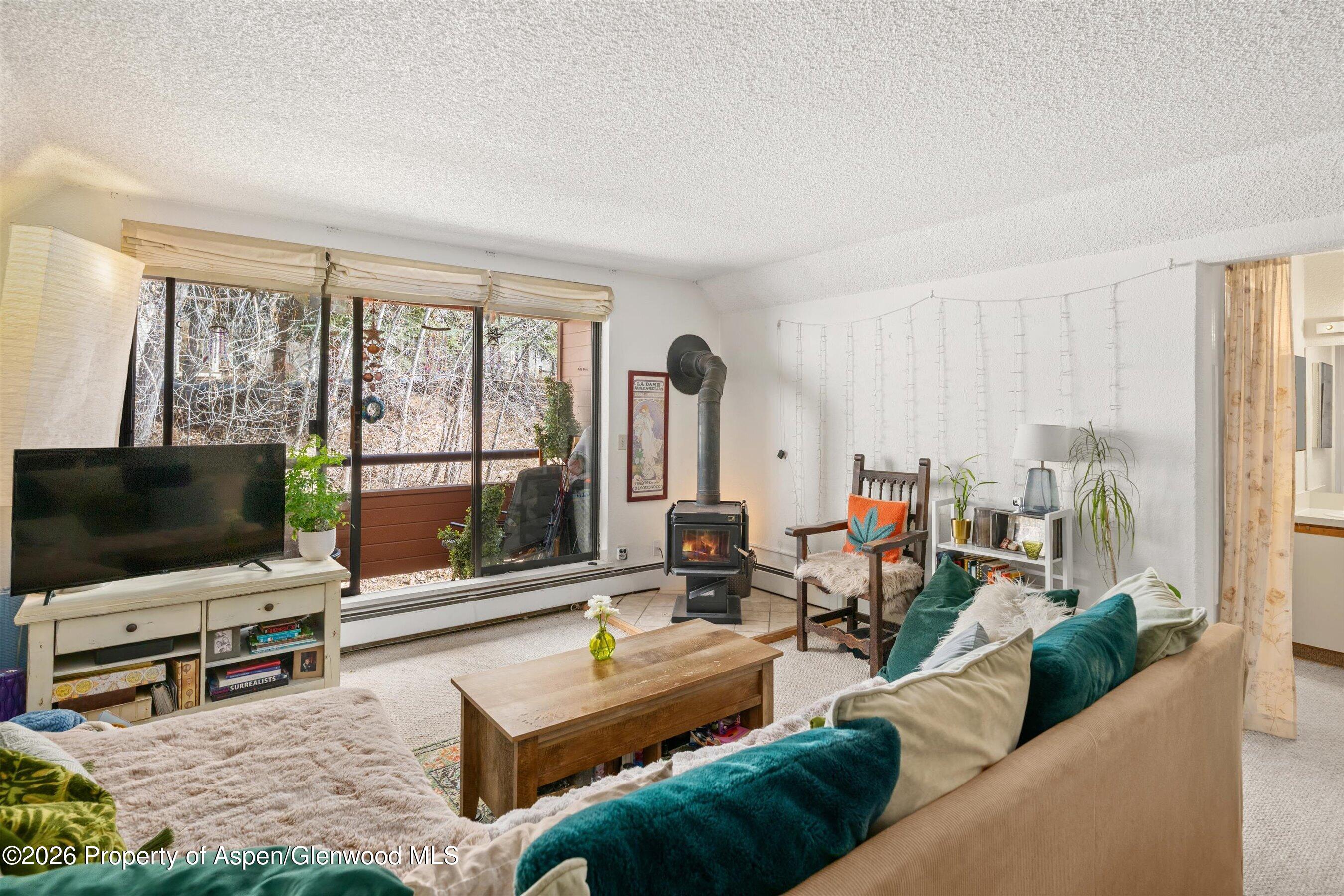 1325 Vine Street Aspen CO 81611