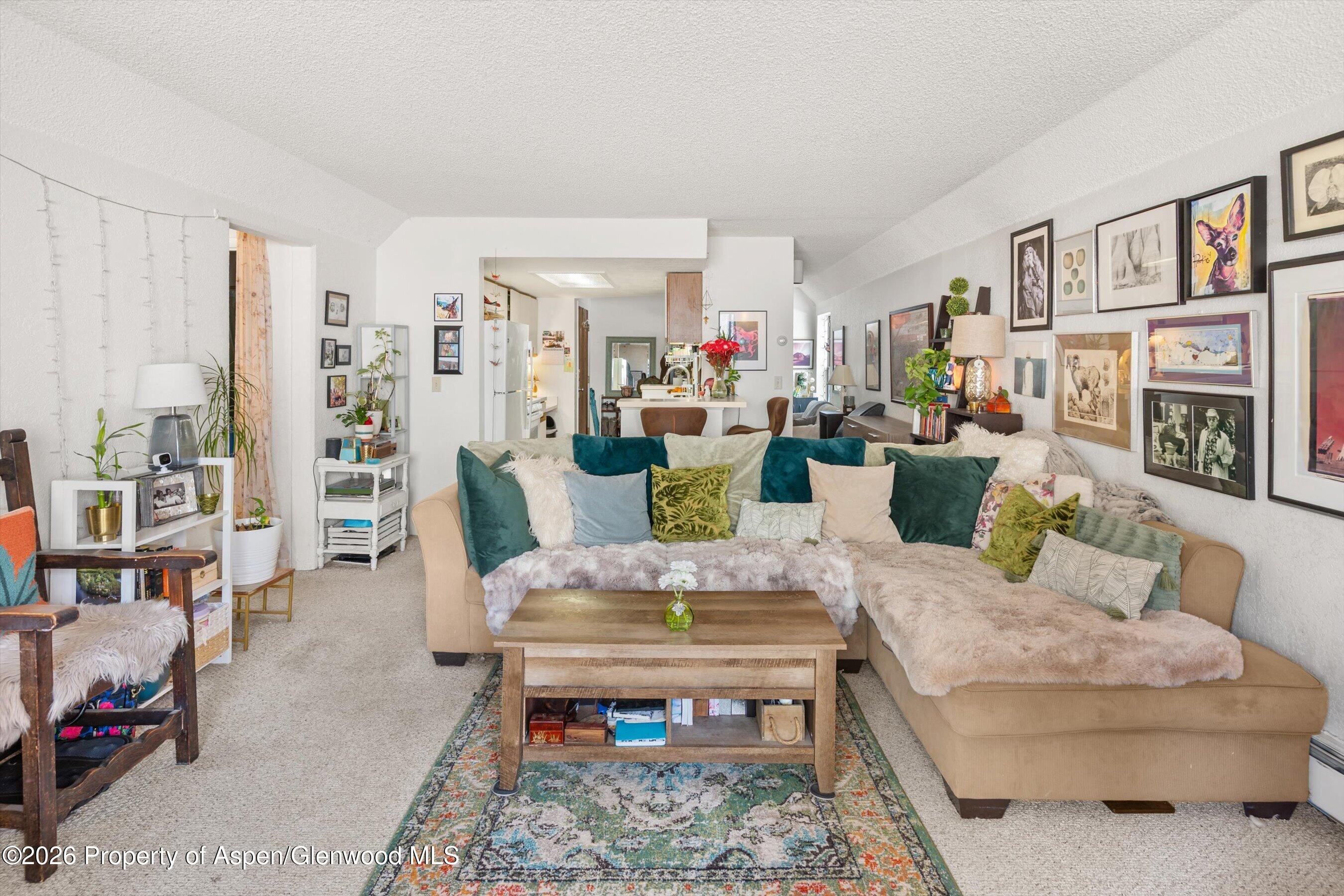 1325 Vine Street Aspen CO 81611