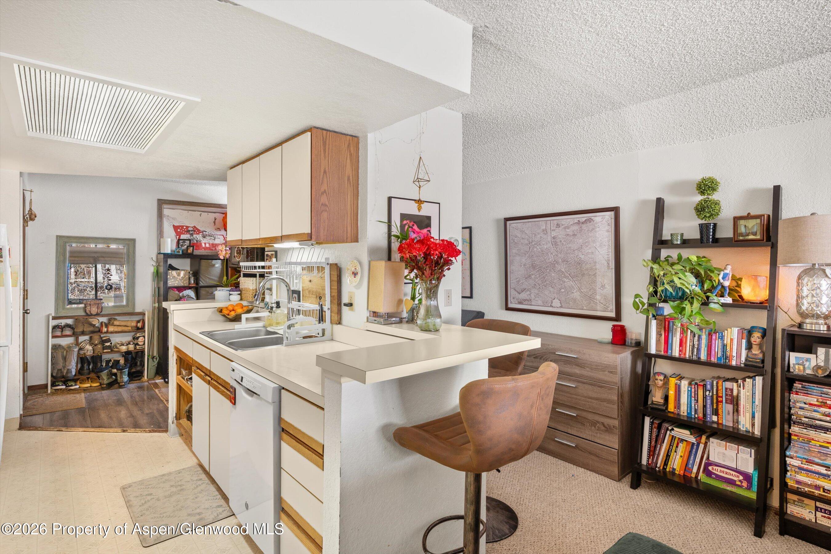 1325 Vine Street Aspen CO 81611