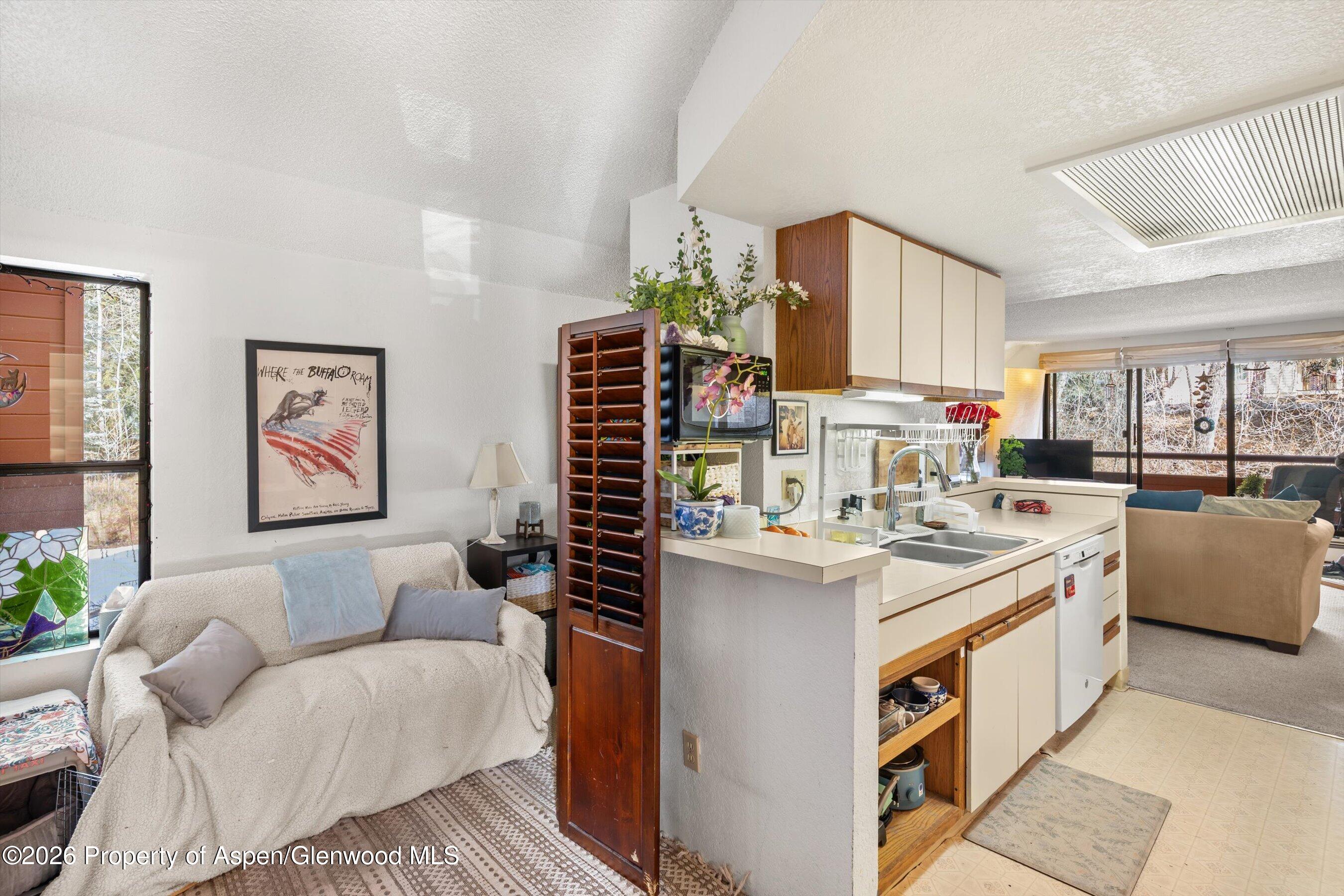 1325 Vine Street Aspen CO 81611