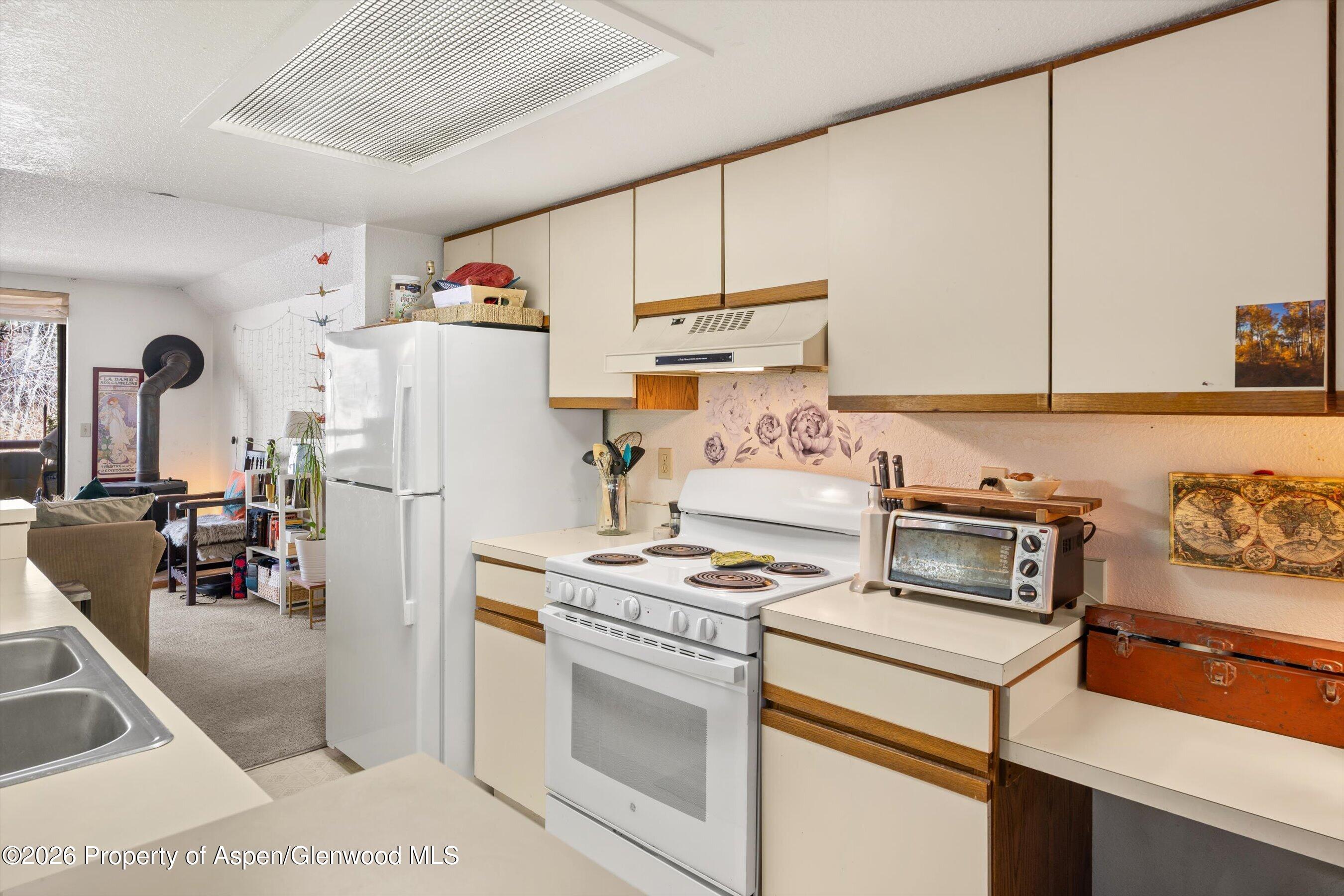 1325 Vine Street Aspen CO 81611