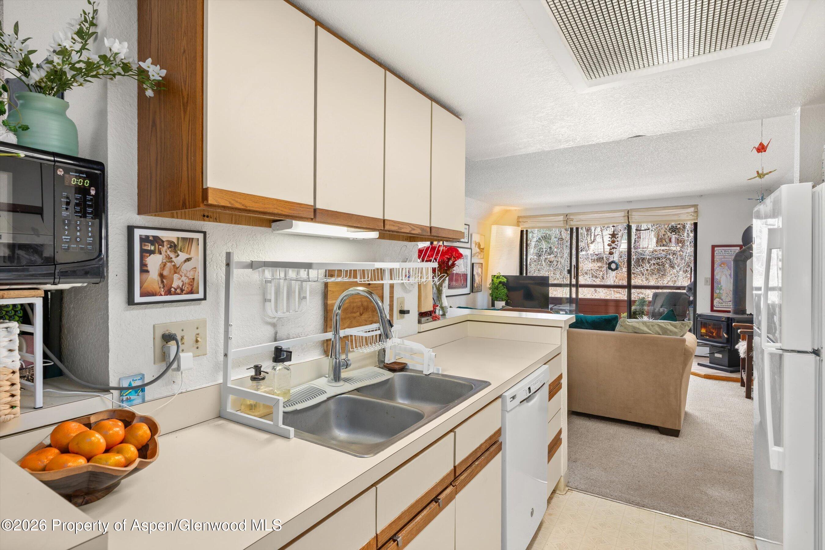 1325 Vine Street Aspen CO 81611