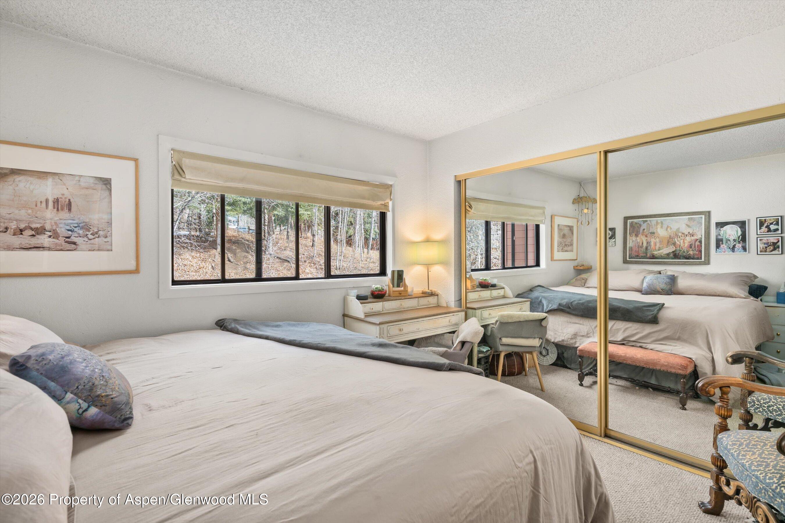 1325 Vine Street Aspen CO 81611