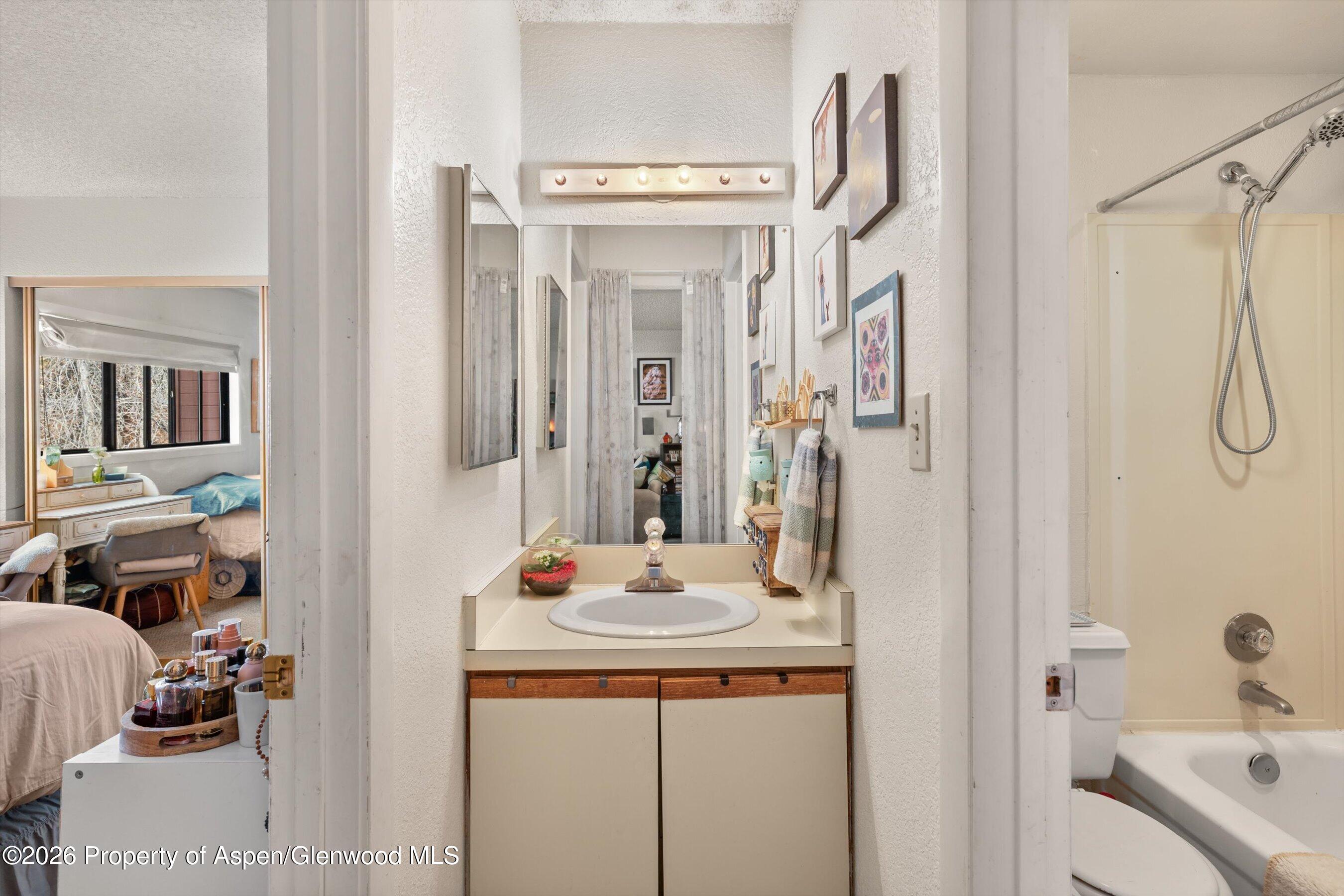 1325 Vine Street Aspen CO 81611