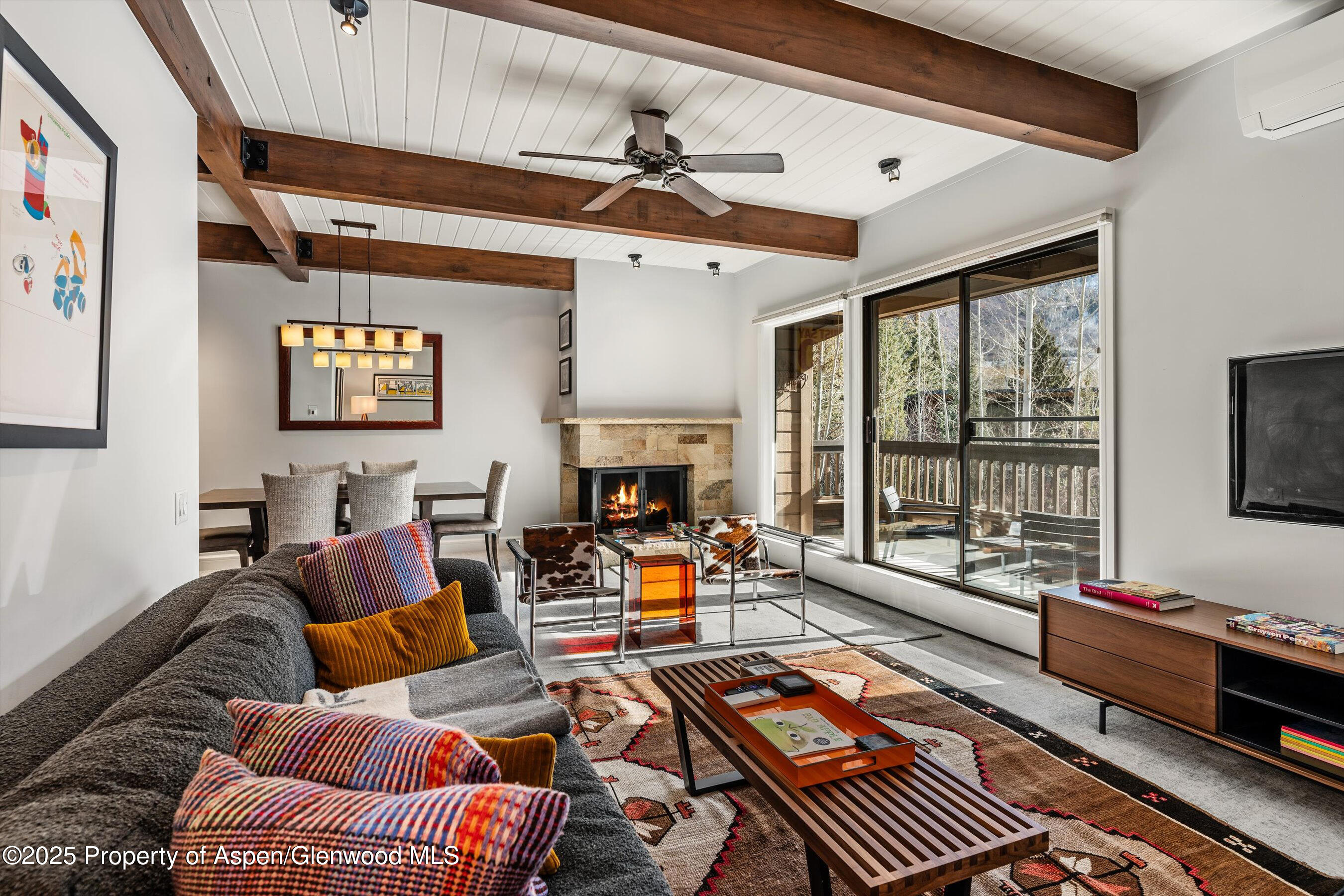 610 S West End Street Aspen CO 81611
