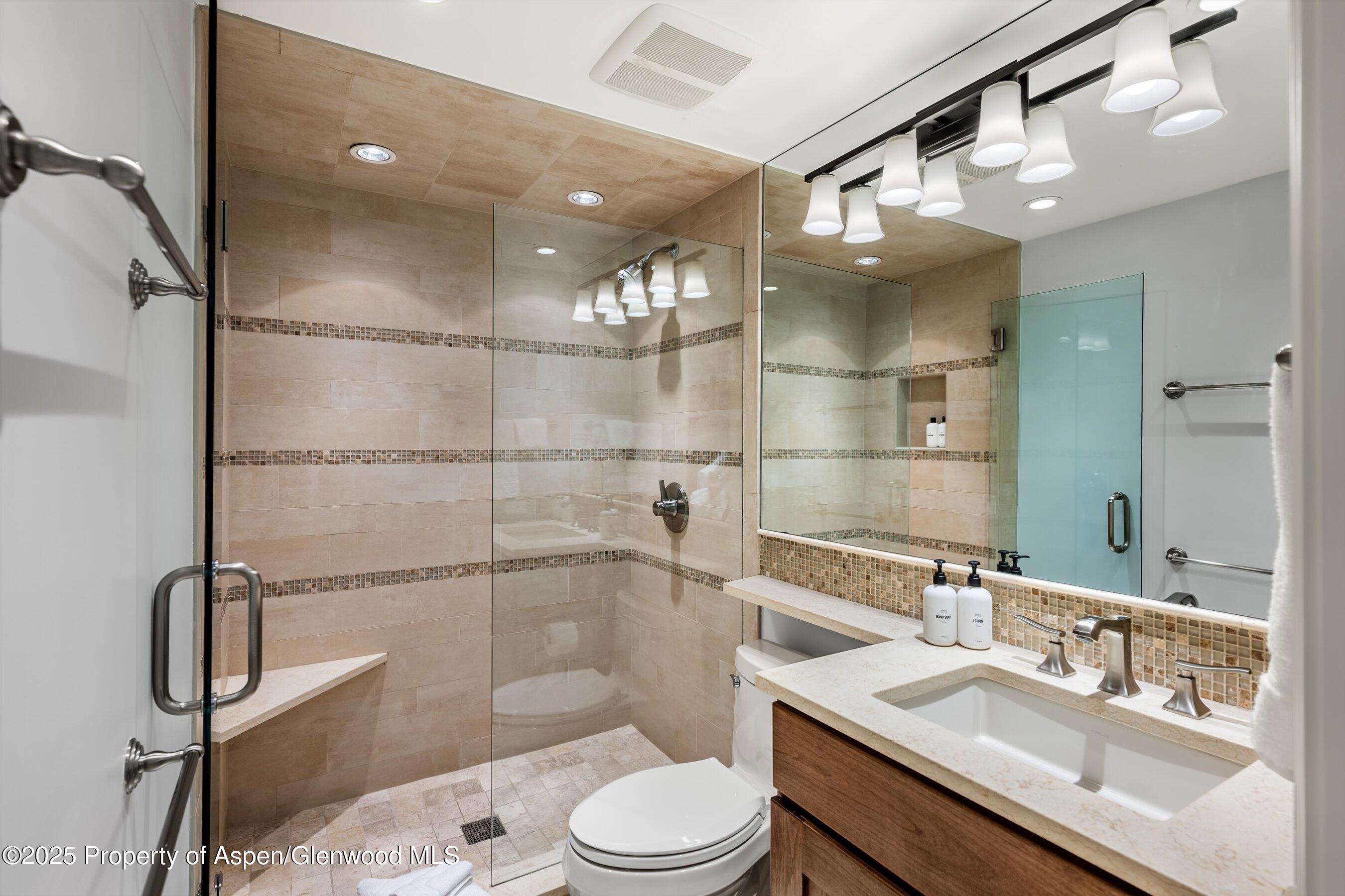 610 S West End Street Aspen CO 81611