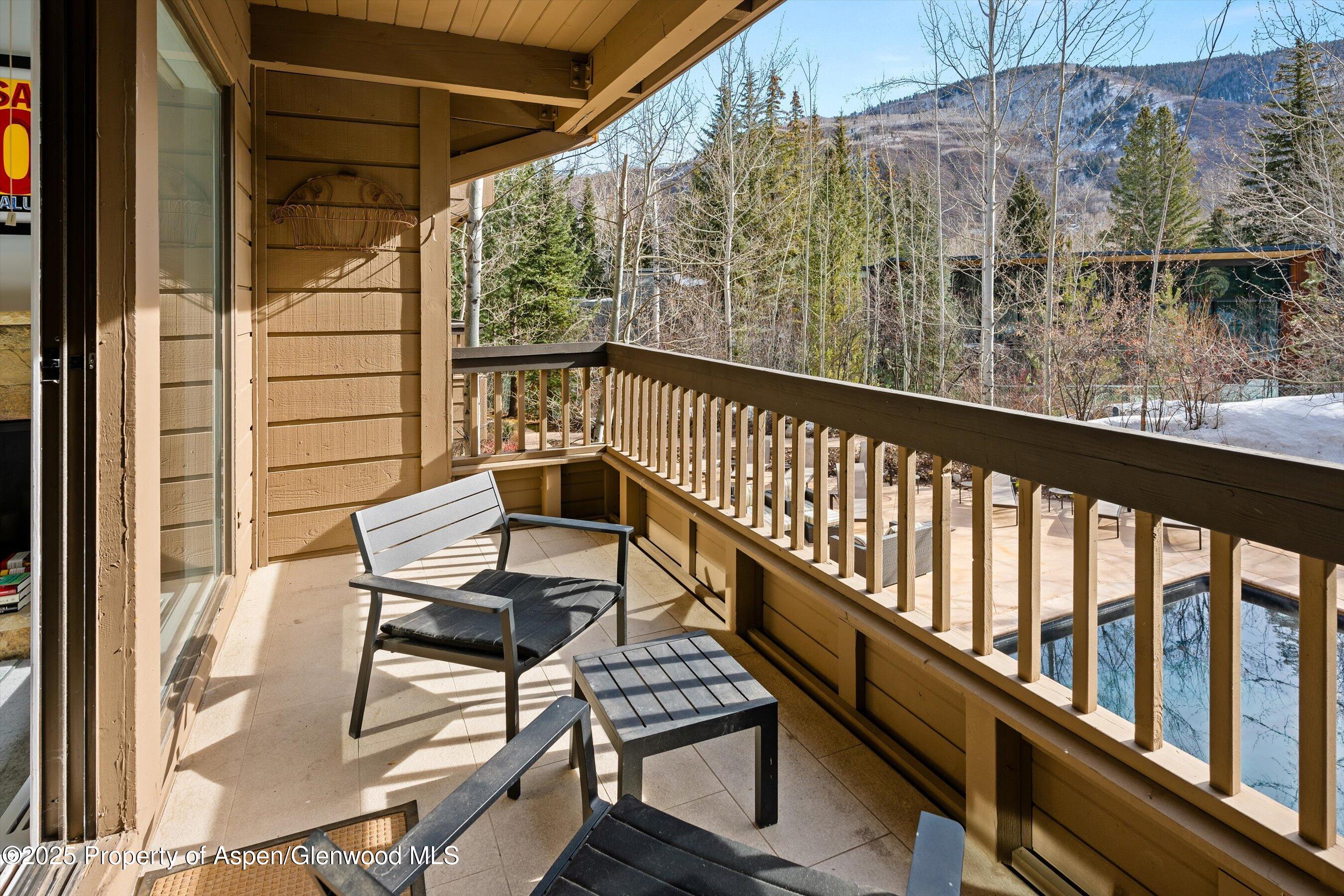 610 S West End Street Aspen CO 81611