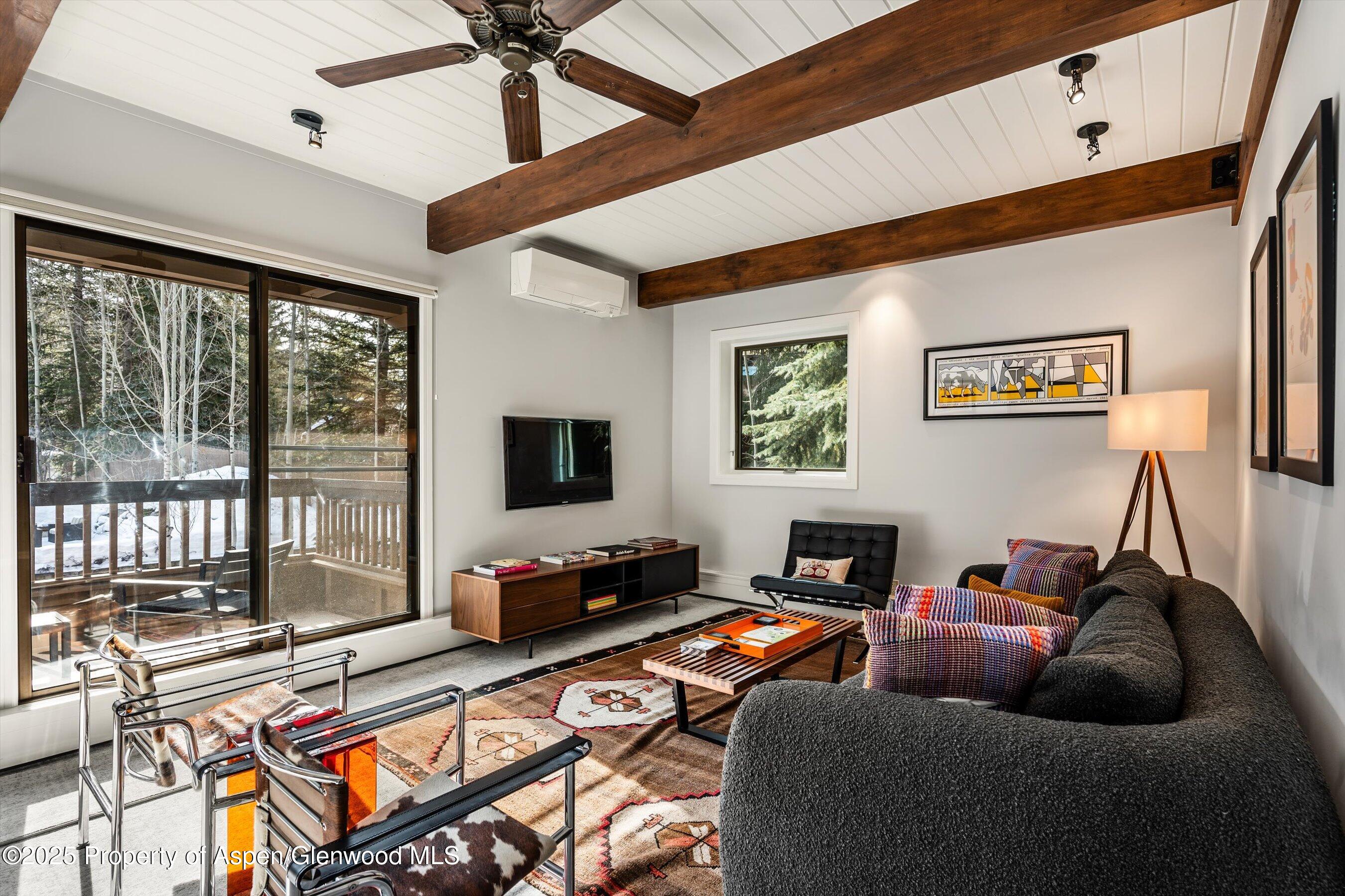 610 S West End Street Aspen CO 81611