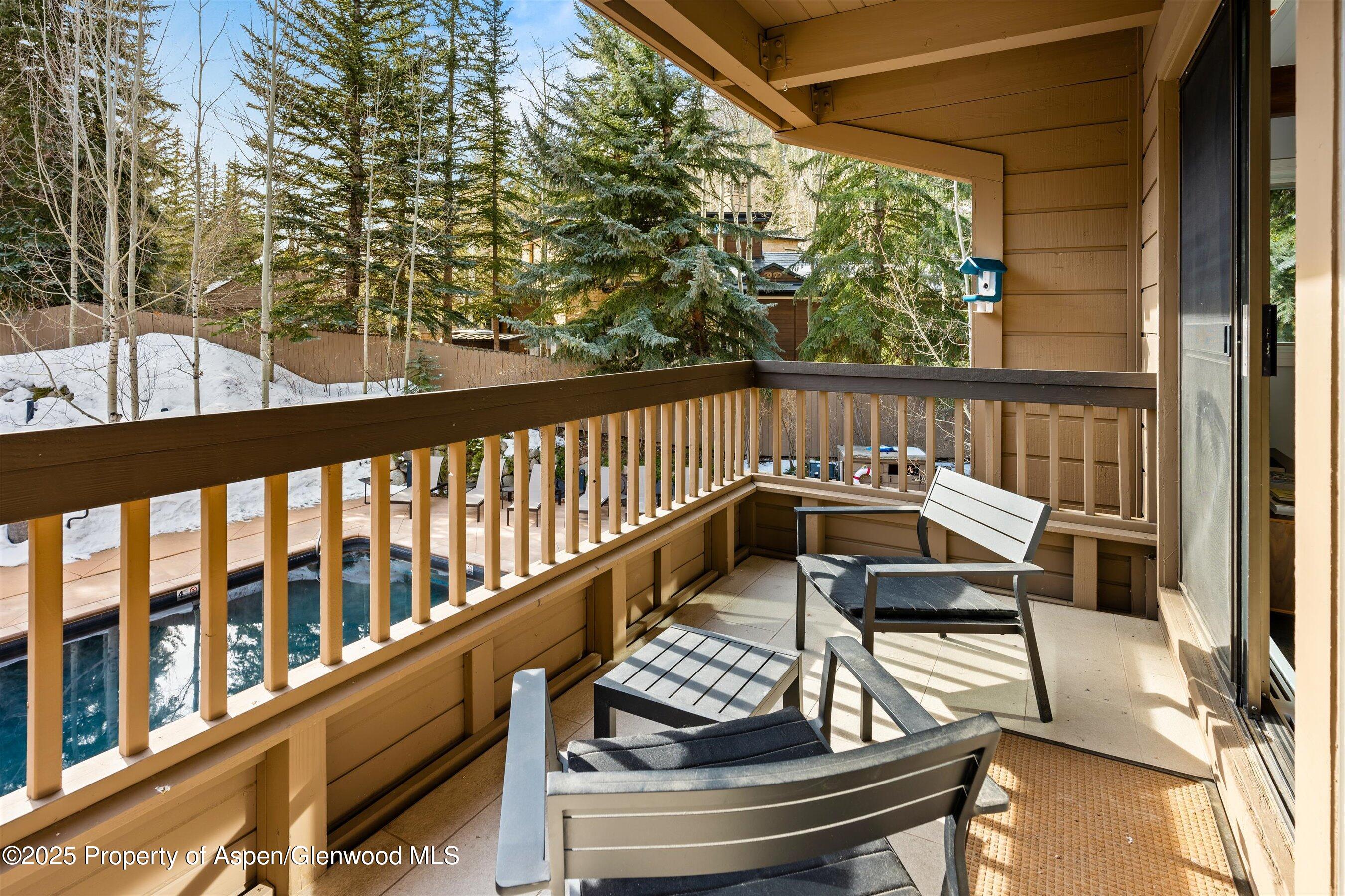610 S West End Street Aspen CO 81611