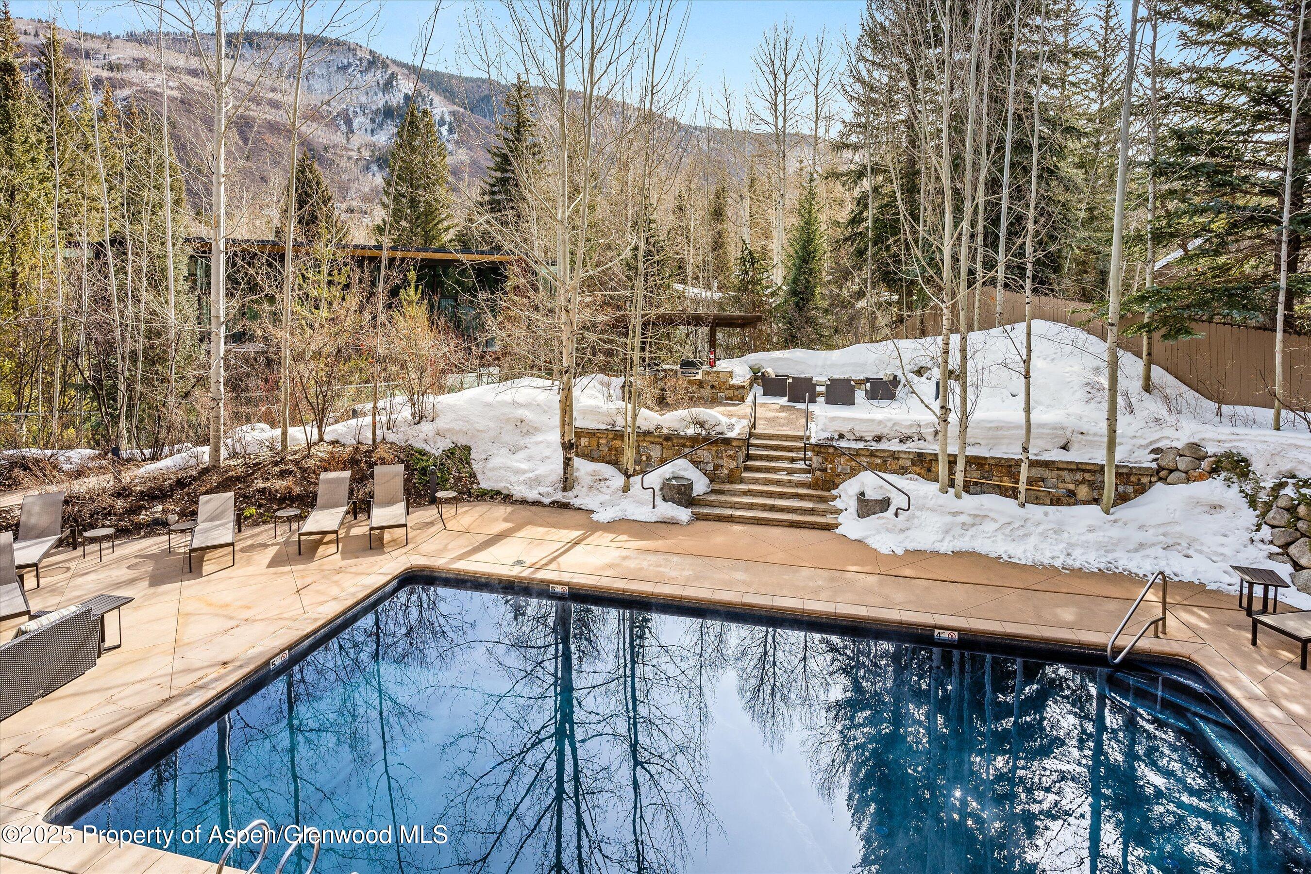 610 S West End Street Aspen CO 81611