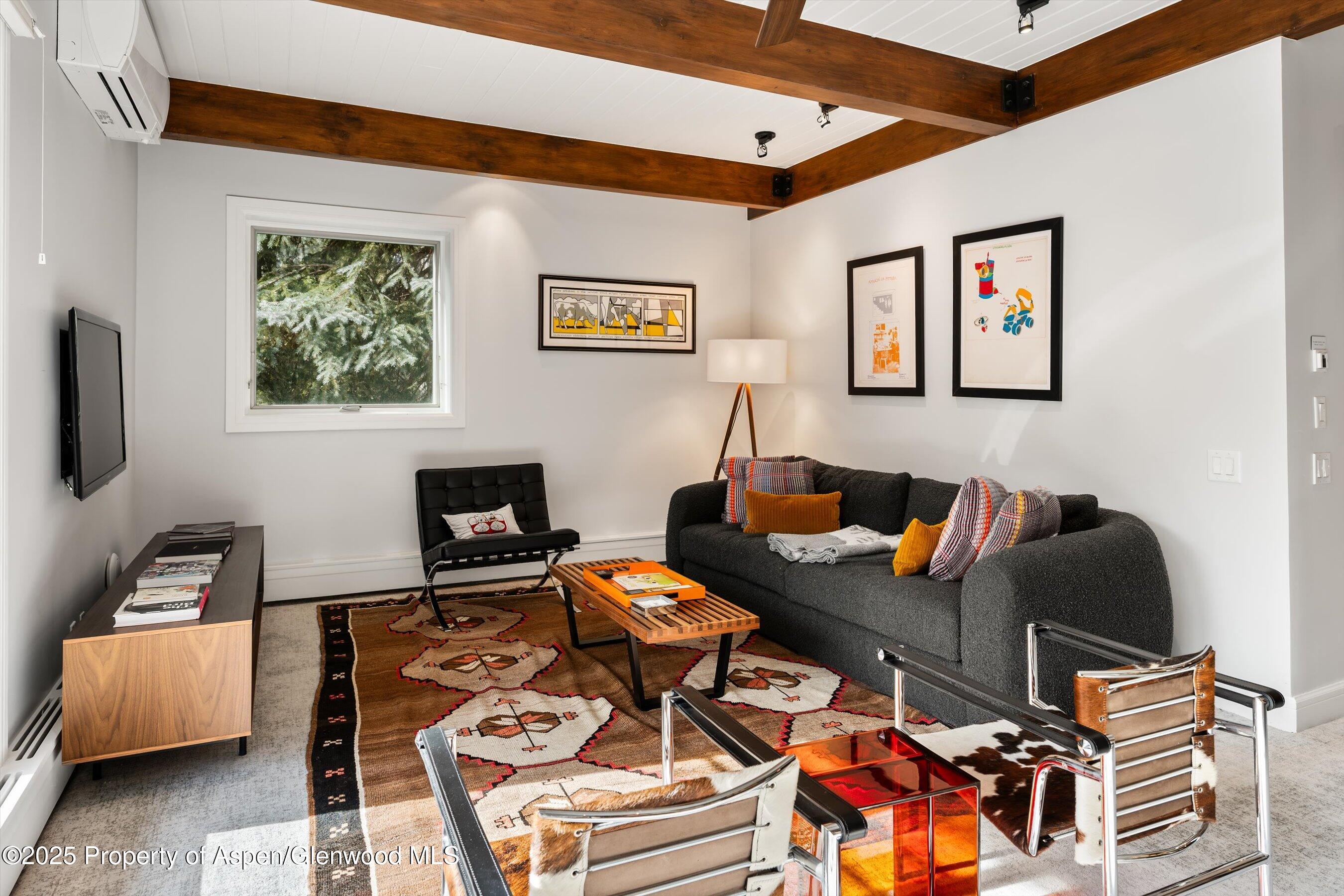 610 S West End Street Aspen CO 81611