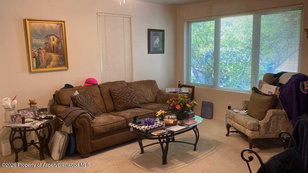 1400 E Valley Road Basalt CO 81621