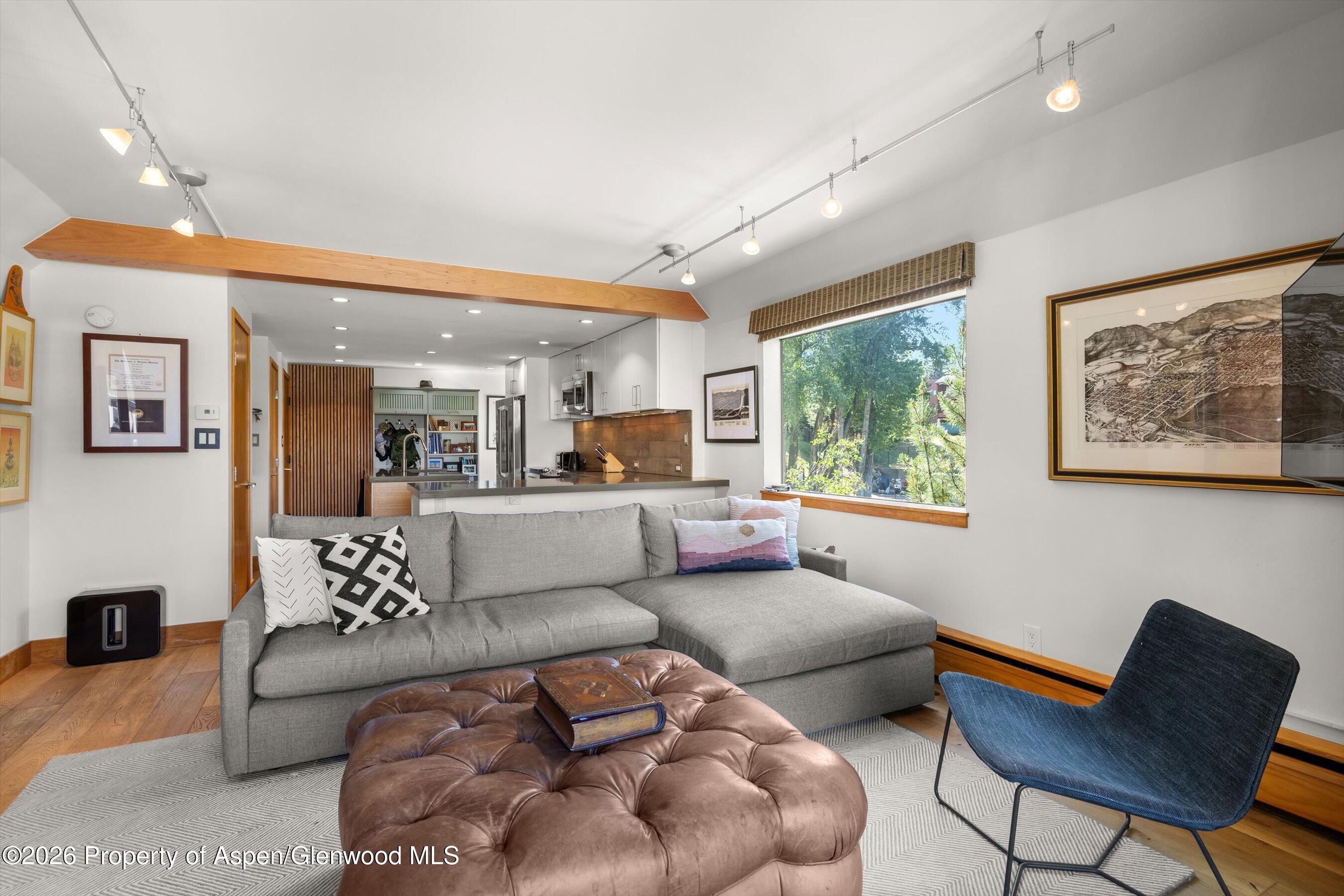 1221 Vine Street Aspen CO 81611