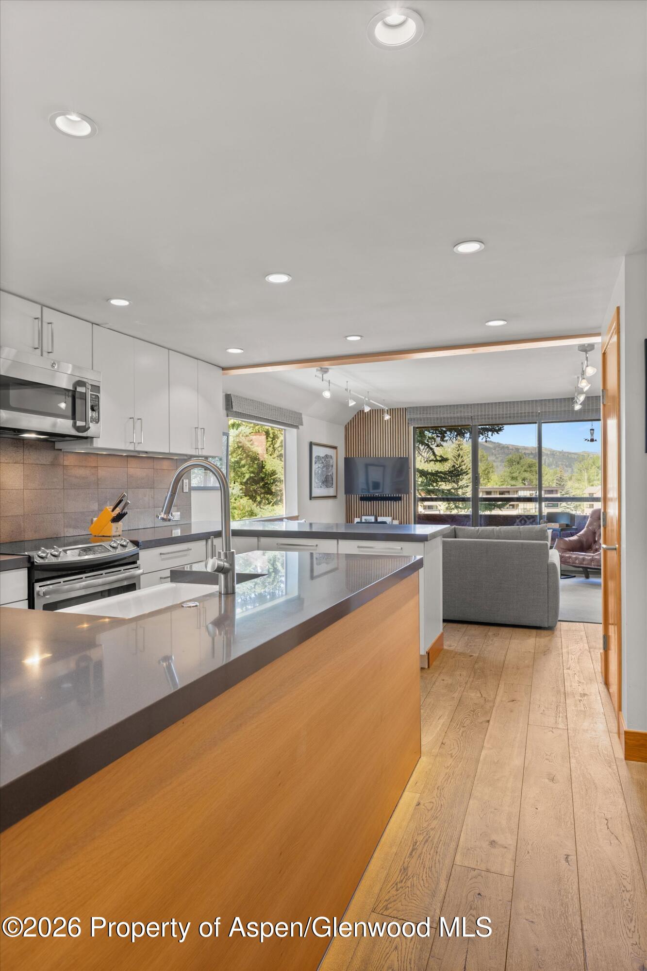 1221 Vine Street Aspen CO 81611