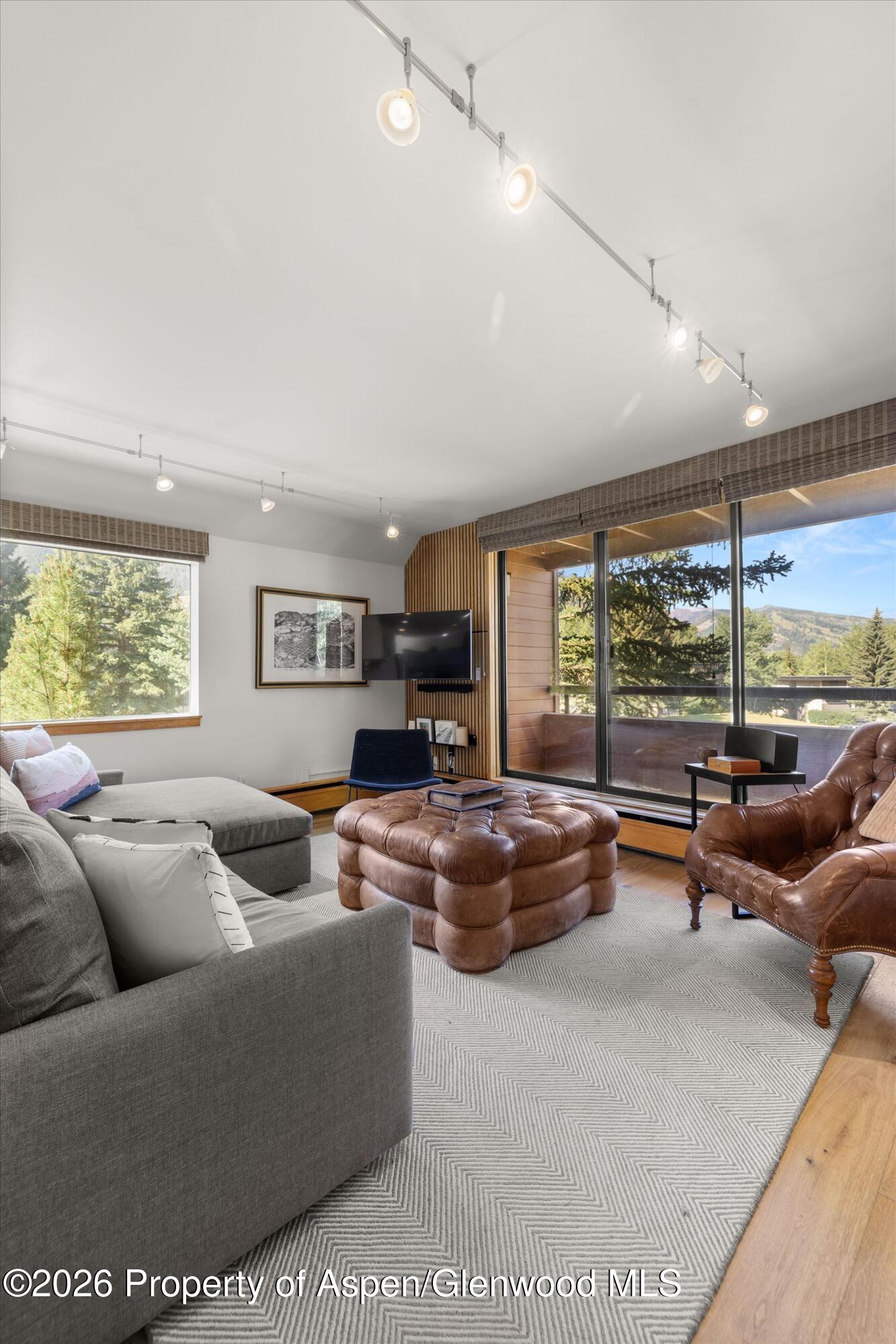 1221 Vine Street Aspen CO 81611