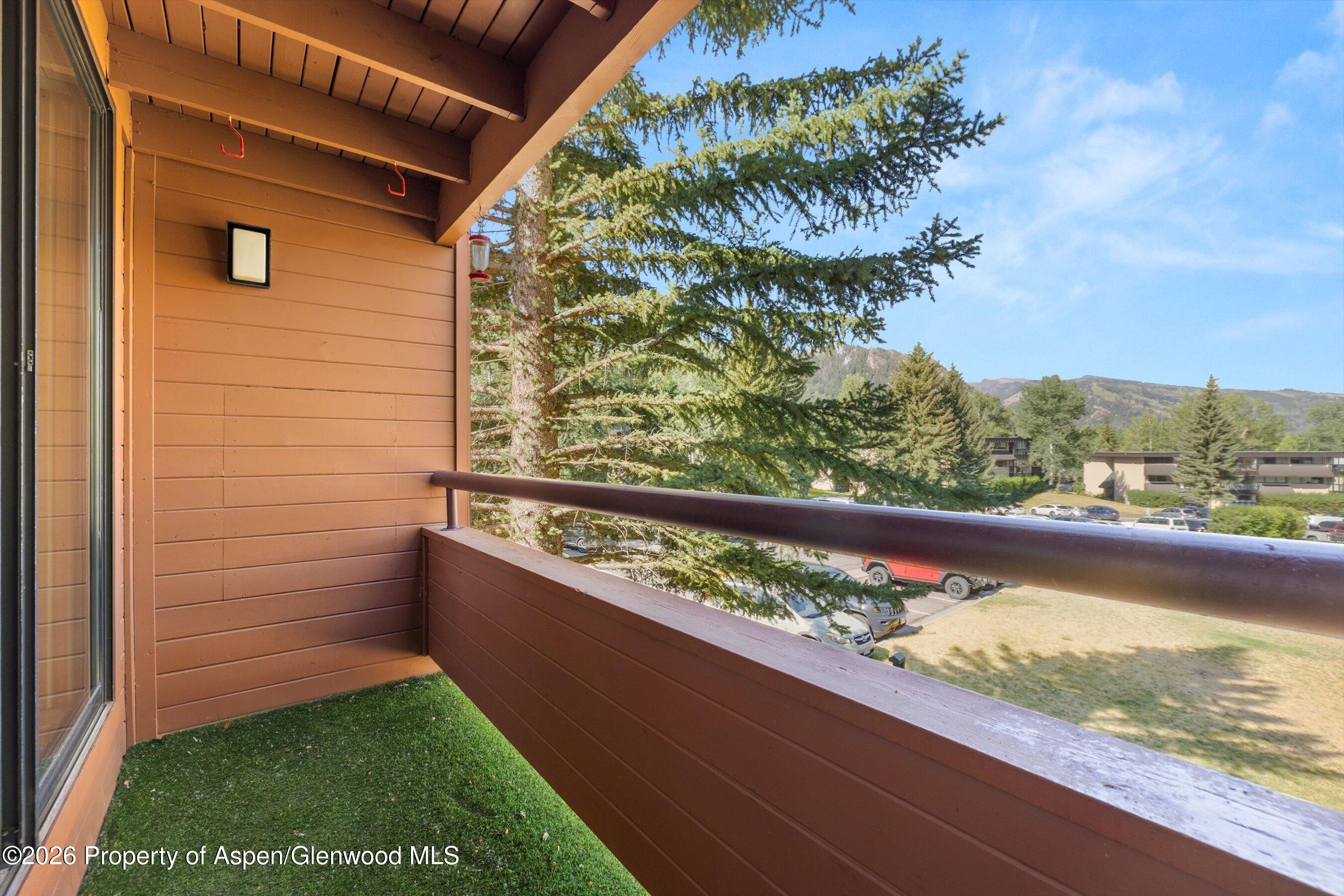 1221 Vine Street Aspen CO 81611