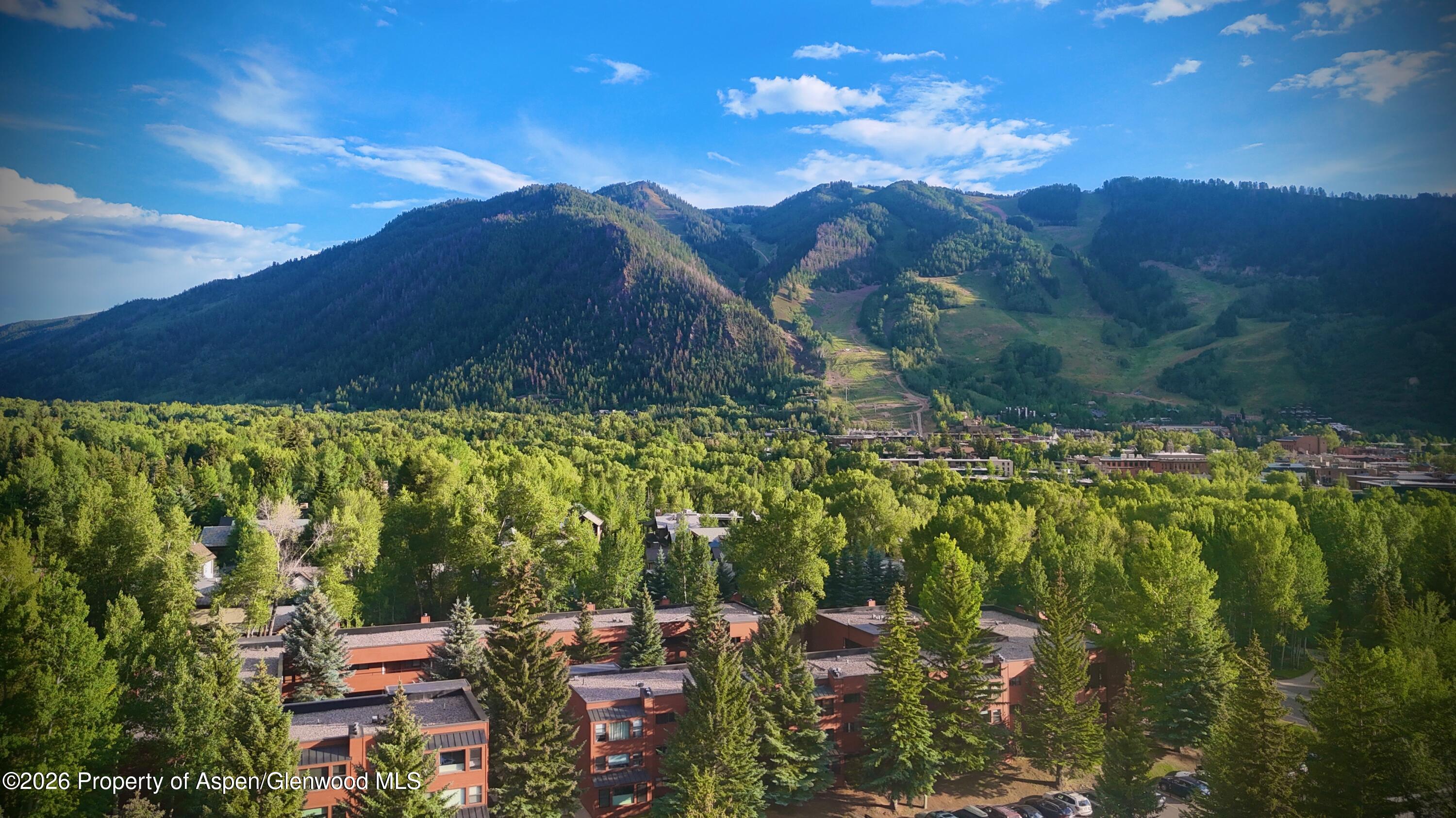 1221 Vine Street Aspen CO 81611