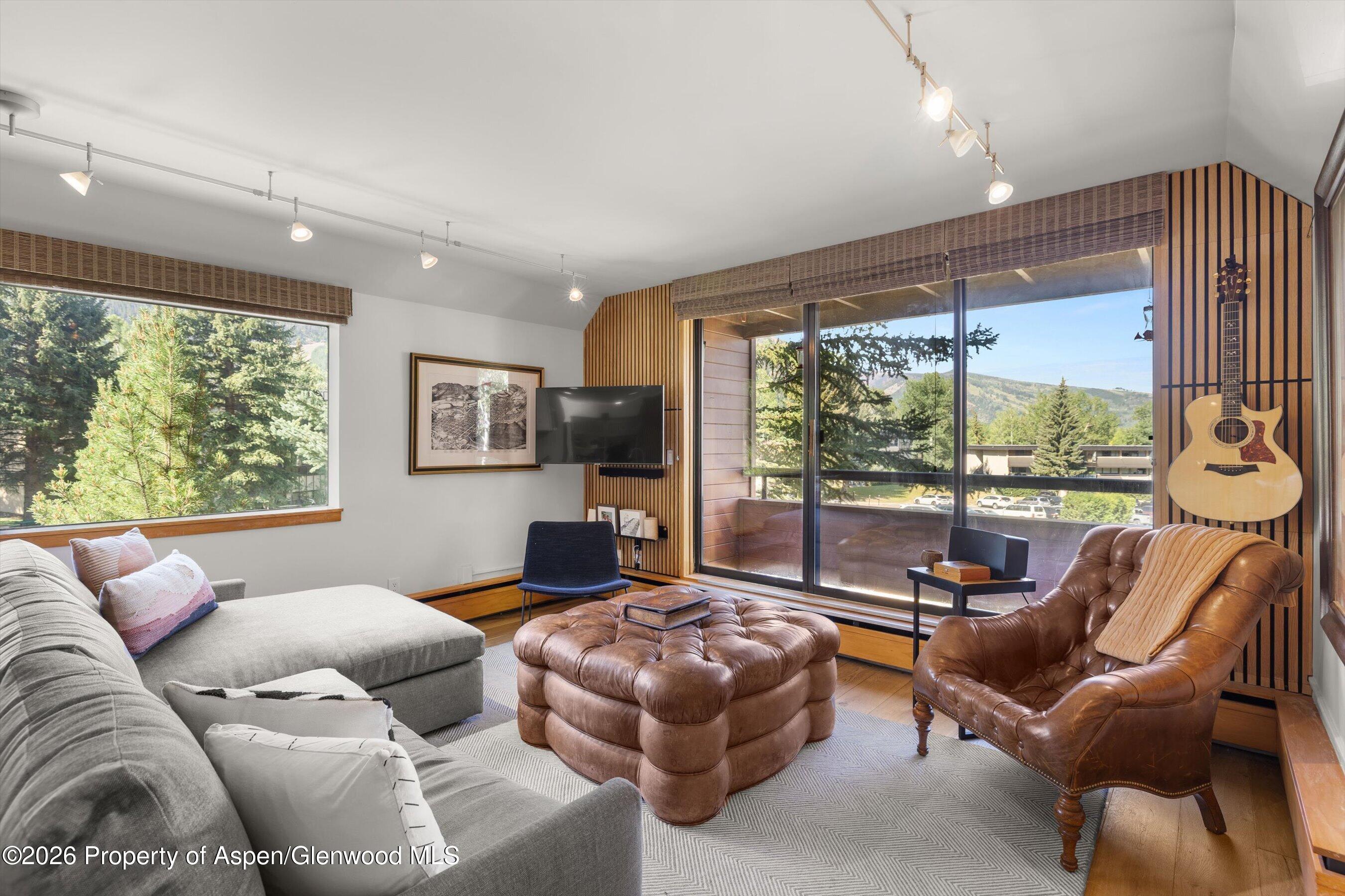 1221 Vine Street Aspen CO 81611