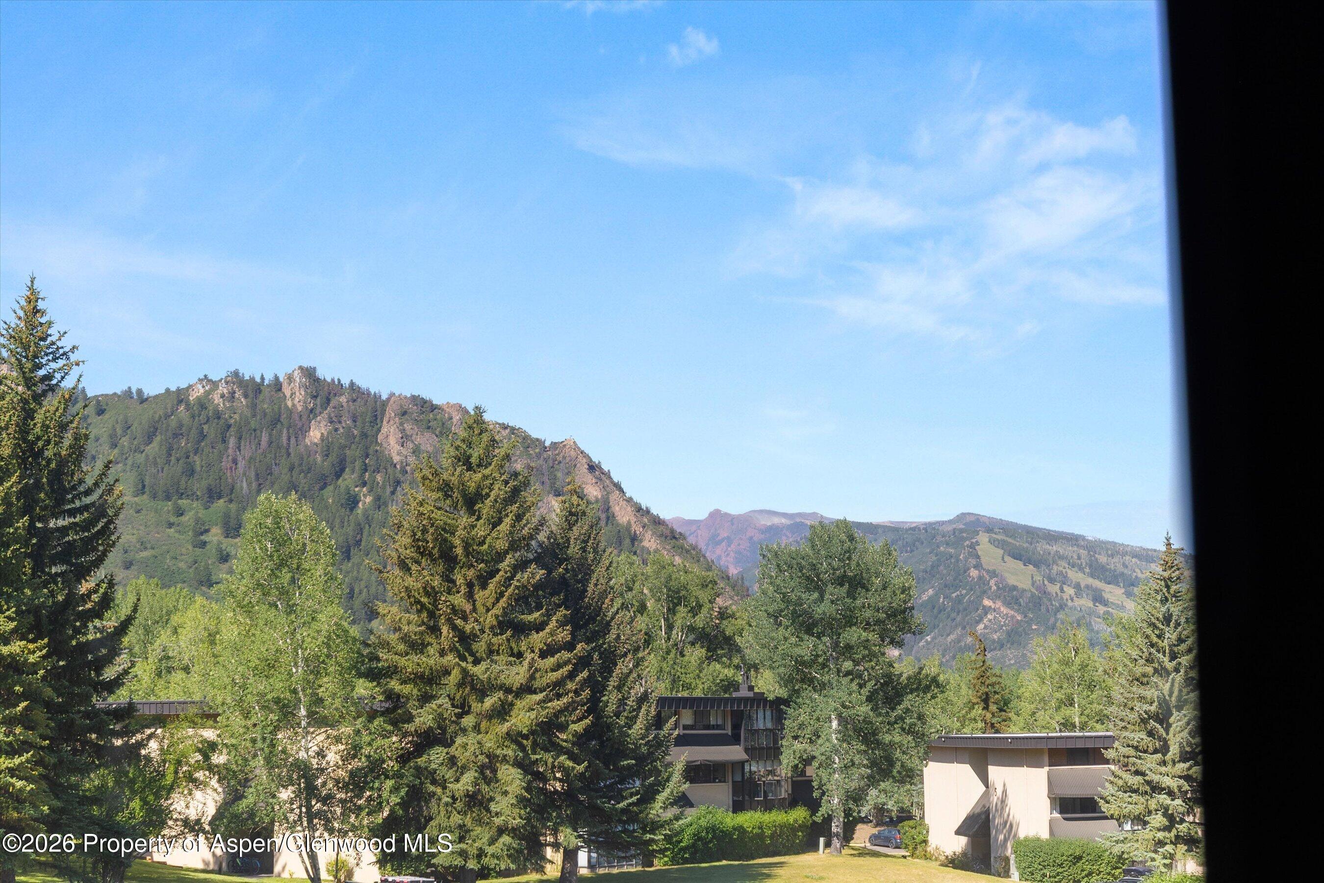 1221 Vine Street Aspen CO 81611