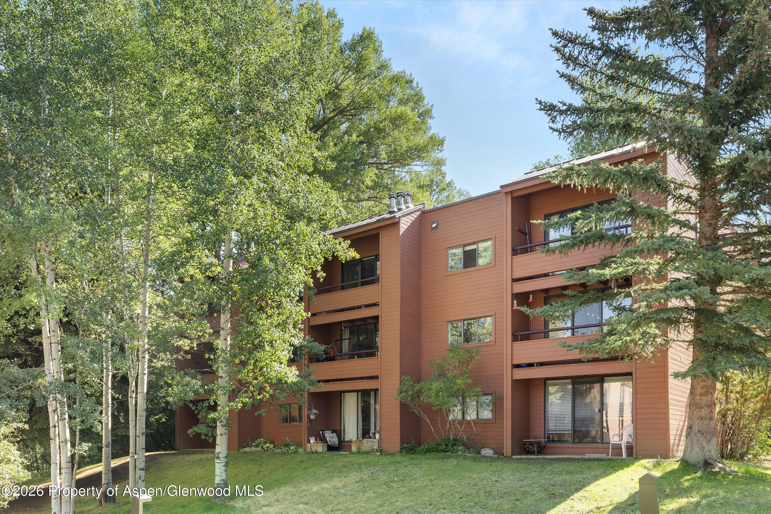 1221 Vine Street Aspen CO 81611
