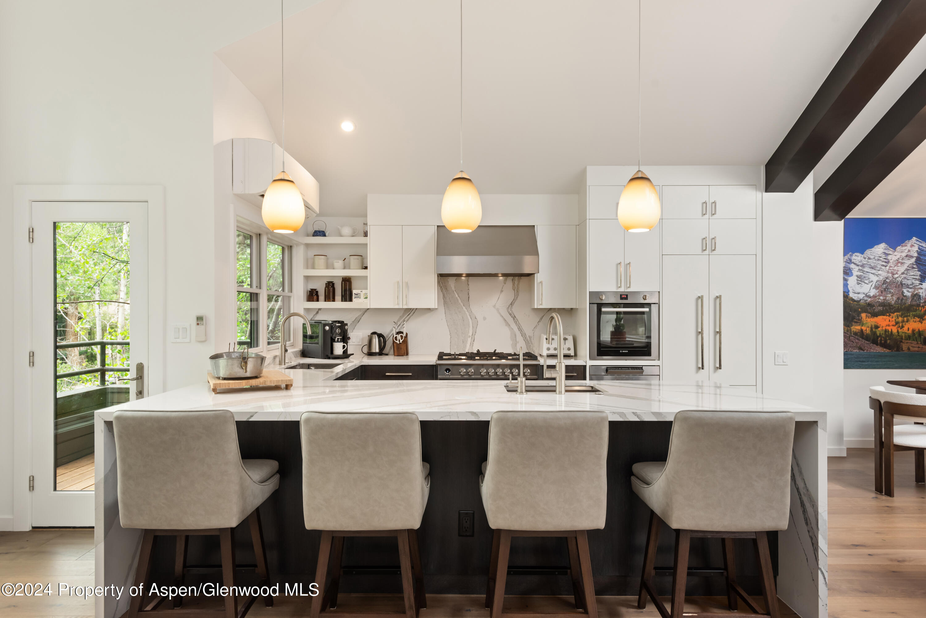 927 E Durant Avenue Aspen CO 81611