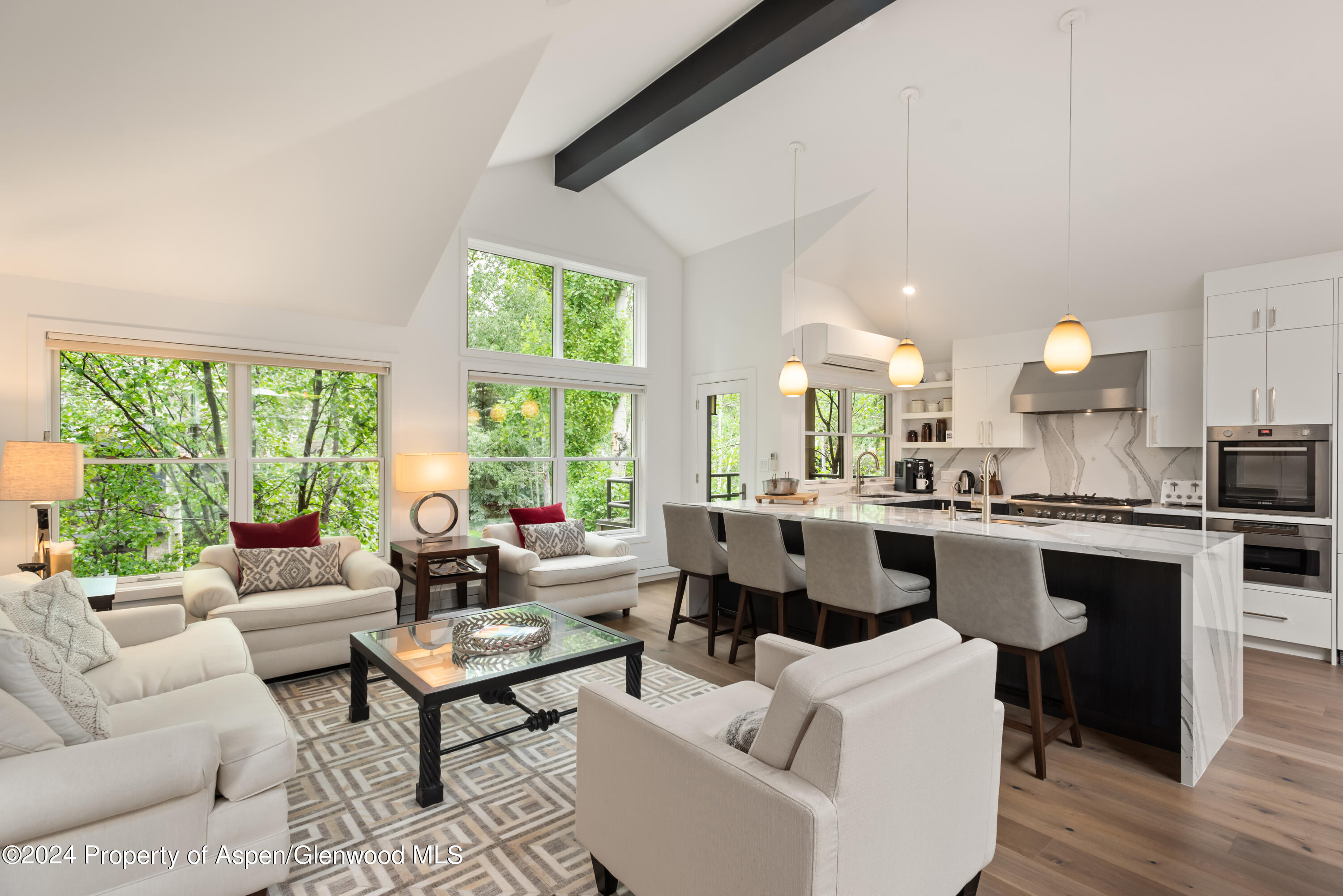 927 E Durant Avenue Aspen CO 81611