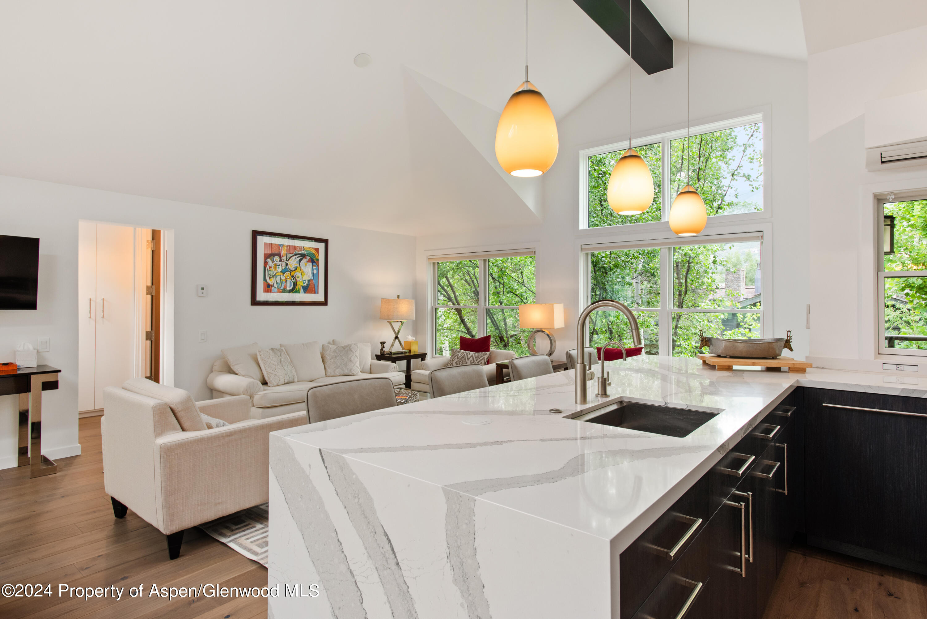 927 E Durant Avenue Aspen CO 81611