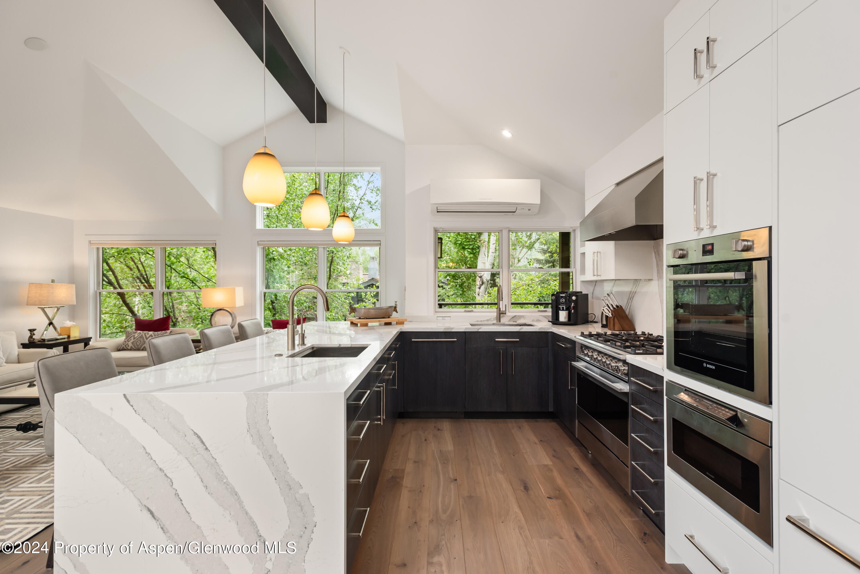 927 E Durant Avenue Aspen CO 81611