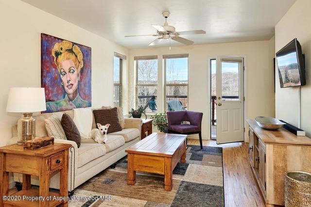 108 Lakeside Court Basalt CO 81621