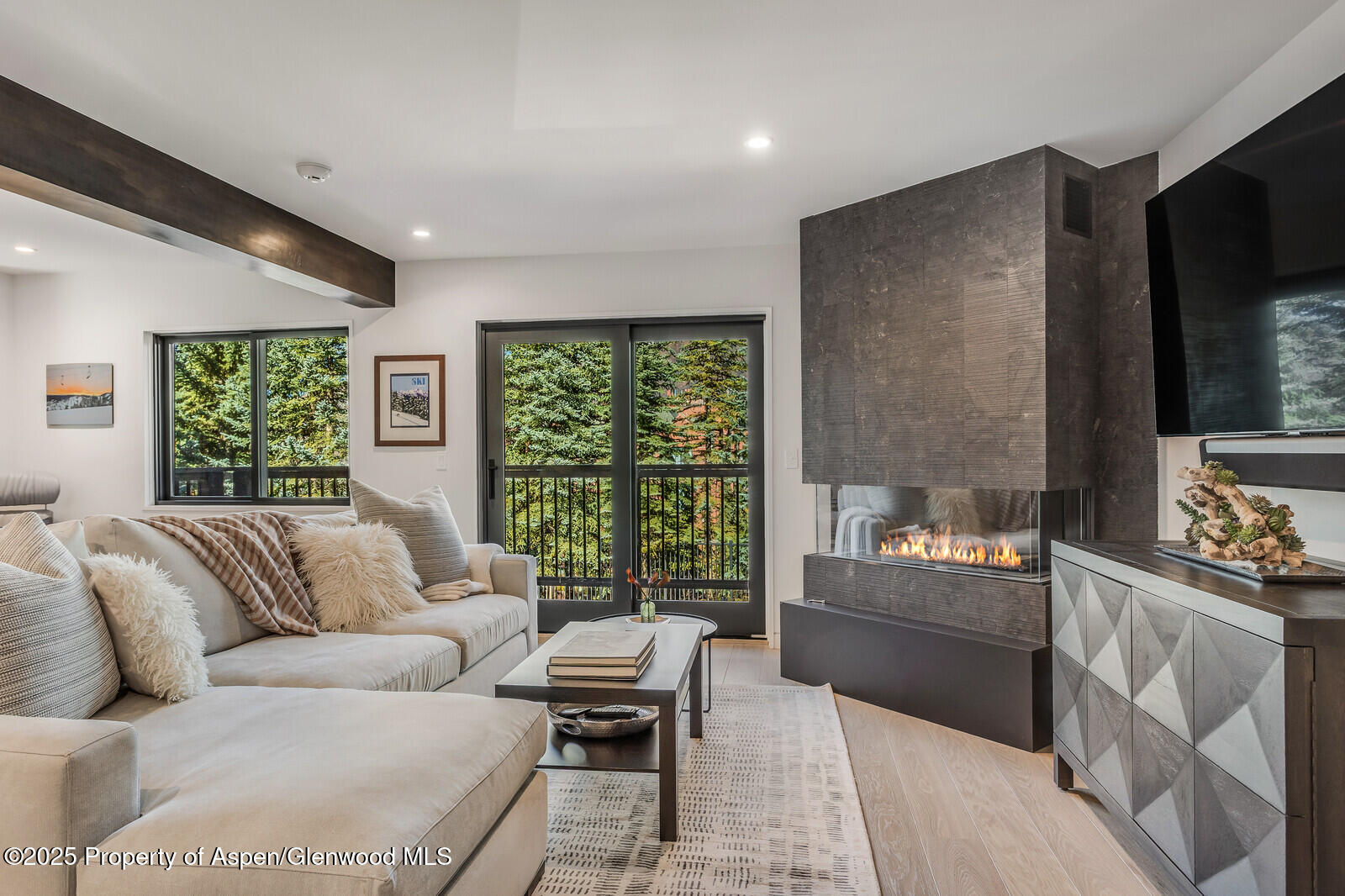 Aspen CO, 650 S Monarch Street, Unit Unit 7