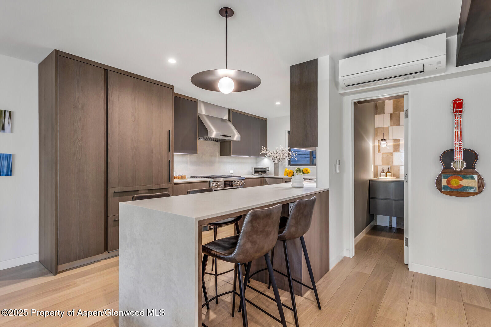 650 S Monarch Street Aspen CO 81611