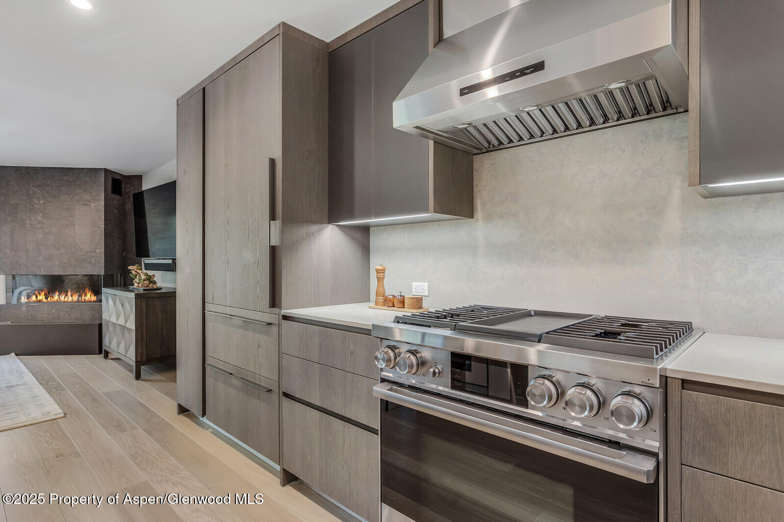 650 S Monarch Street Aspen CO 81611