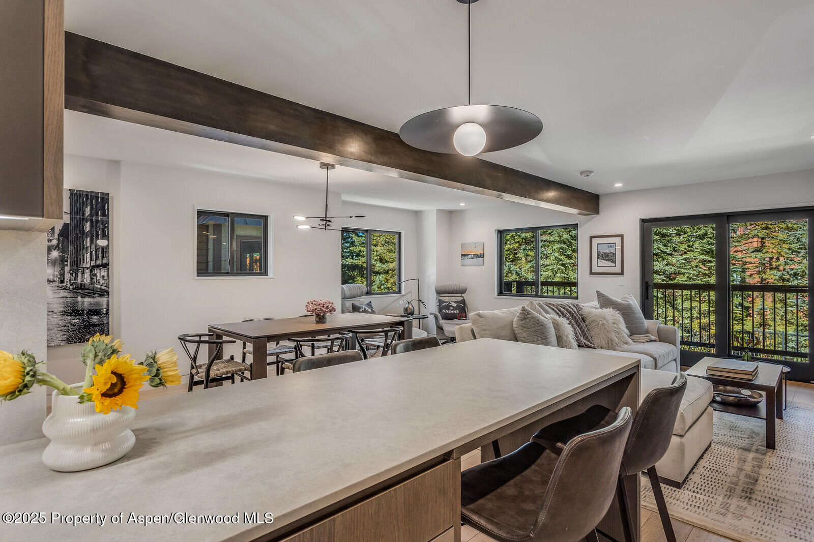 650 S Monarch Street Aspen CO 81611