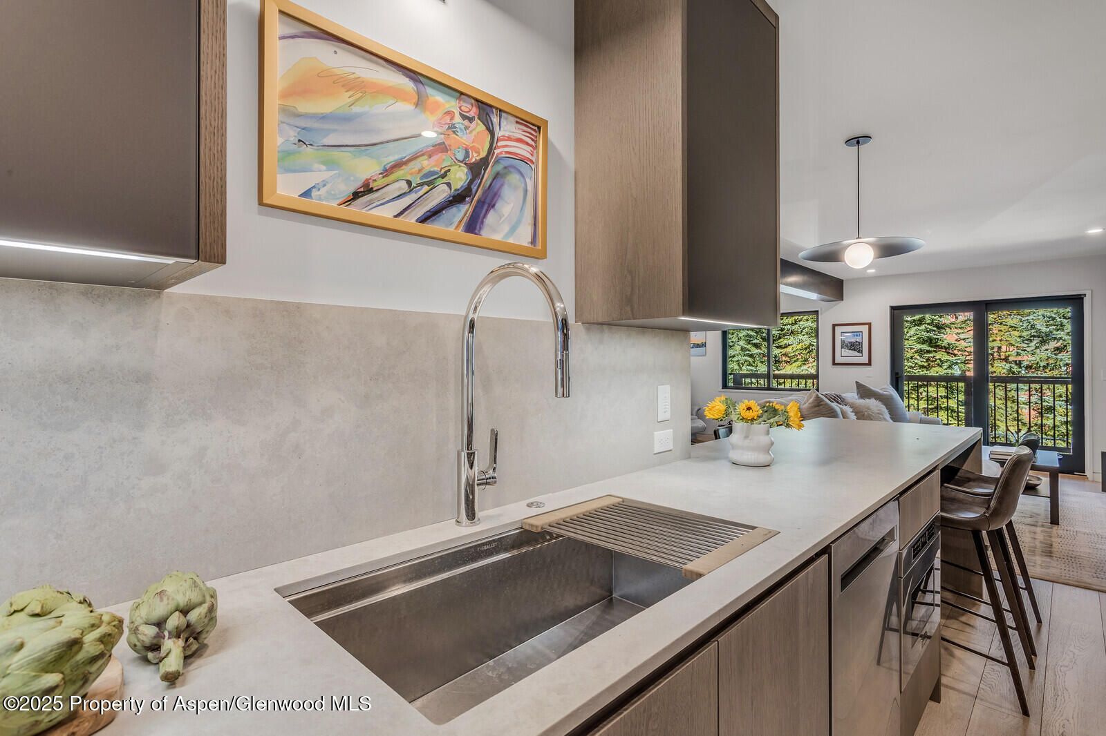 650 S Monarch Street Aspen CO 81611