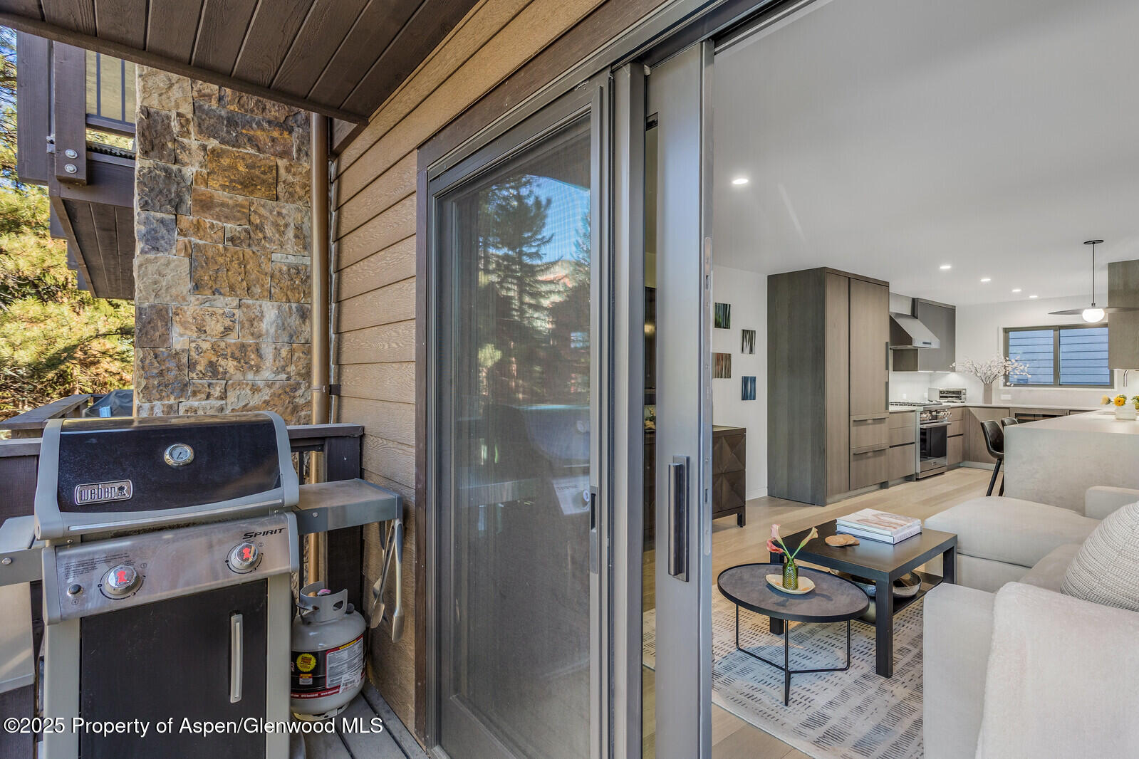 650 S Monarch Street Aspen CO 81611