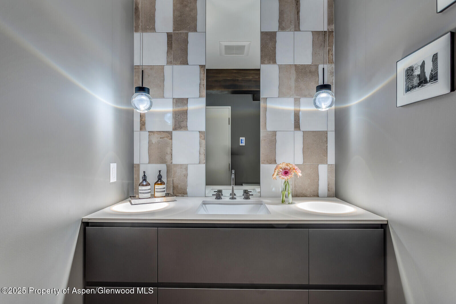 650 S Monarch Street Aspen CO 81611