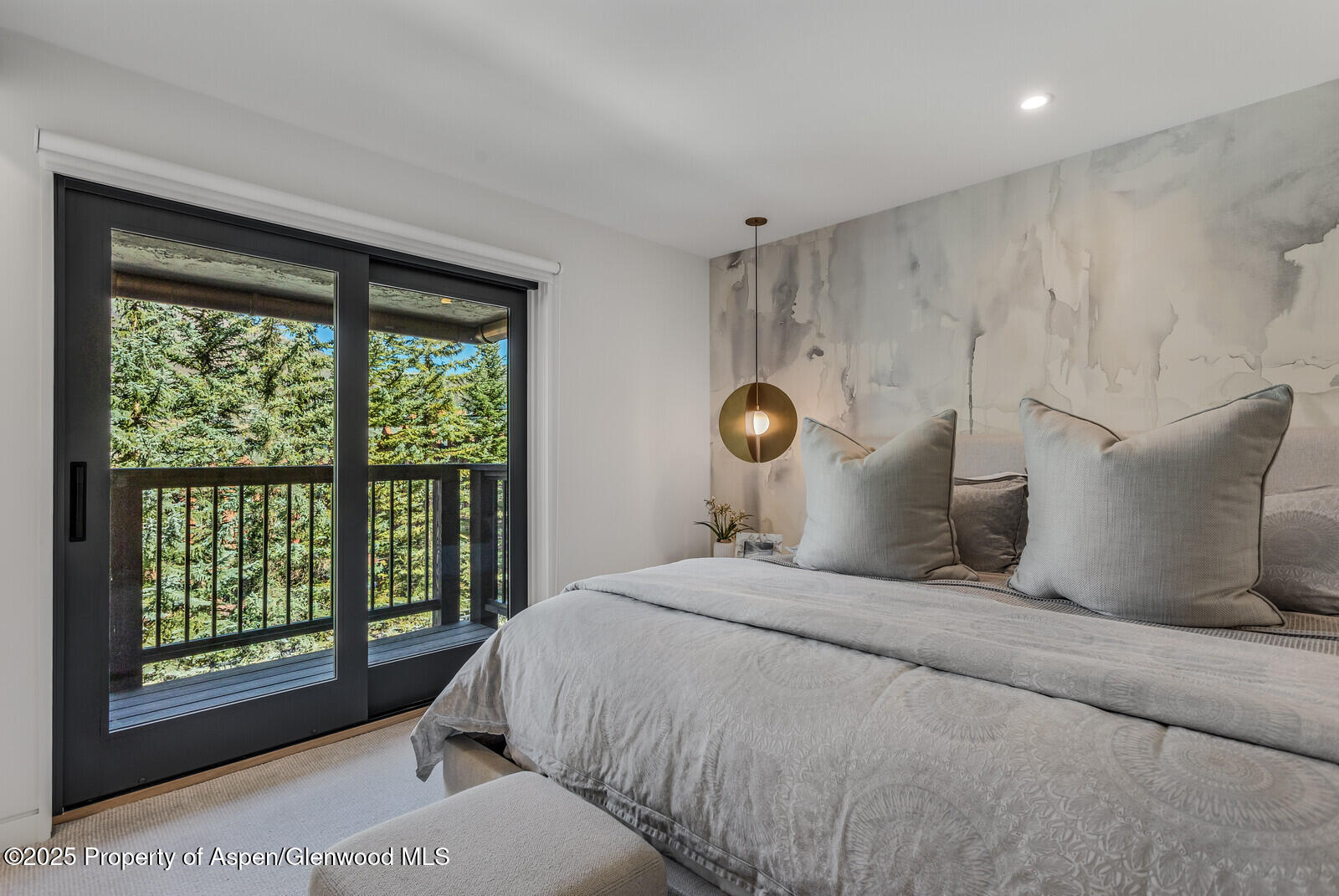 650 S Monarch Street Aspen CO 81611