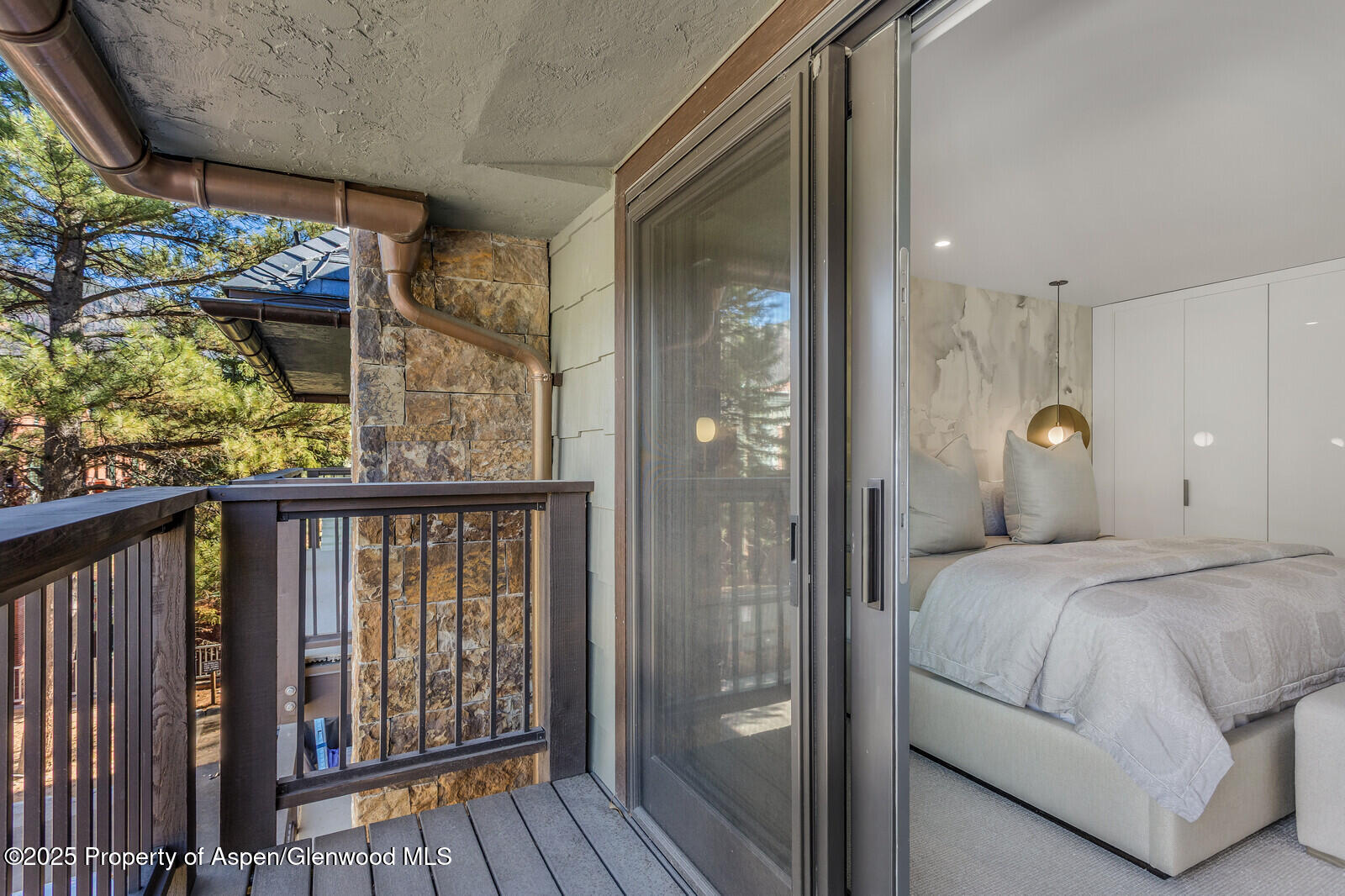 650 S Monarch Street Aspen CO 81611