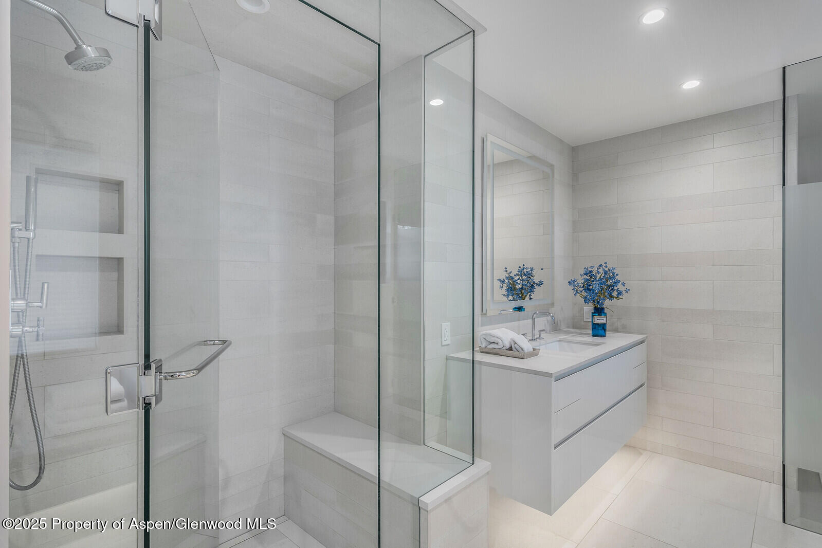 650 S Monarch Street Aspen CO 81611