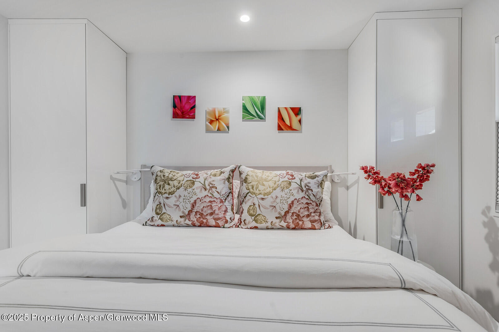 650 S Monarch Street Aspen CO 81611