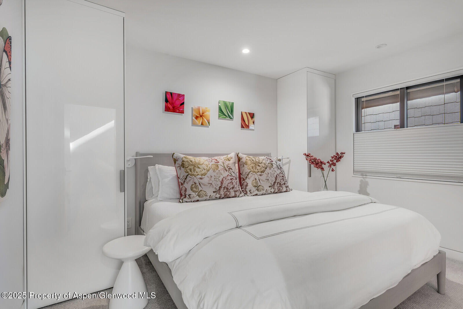 650 S Monarch Street Aspen CO 81611