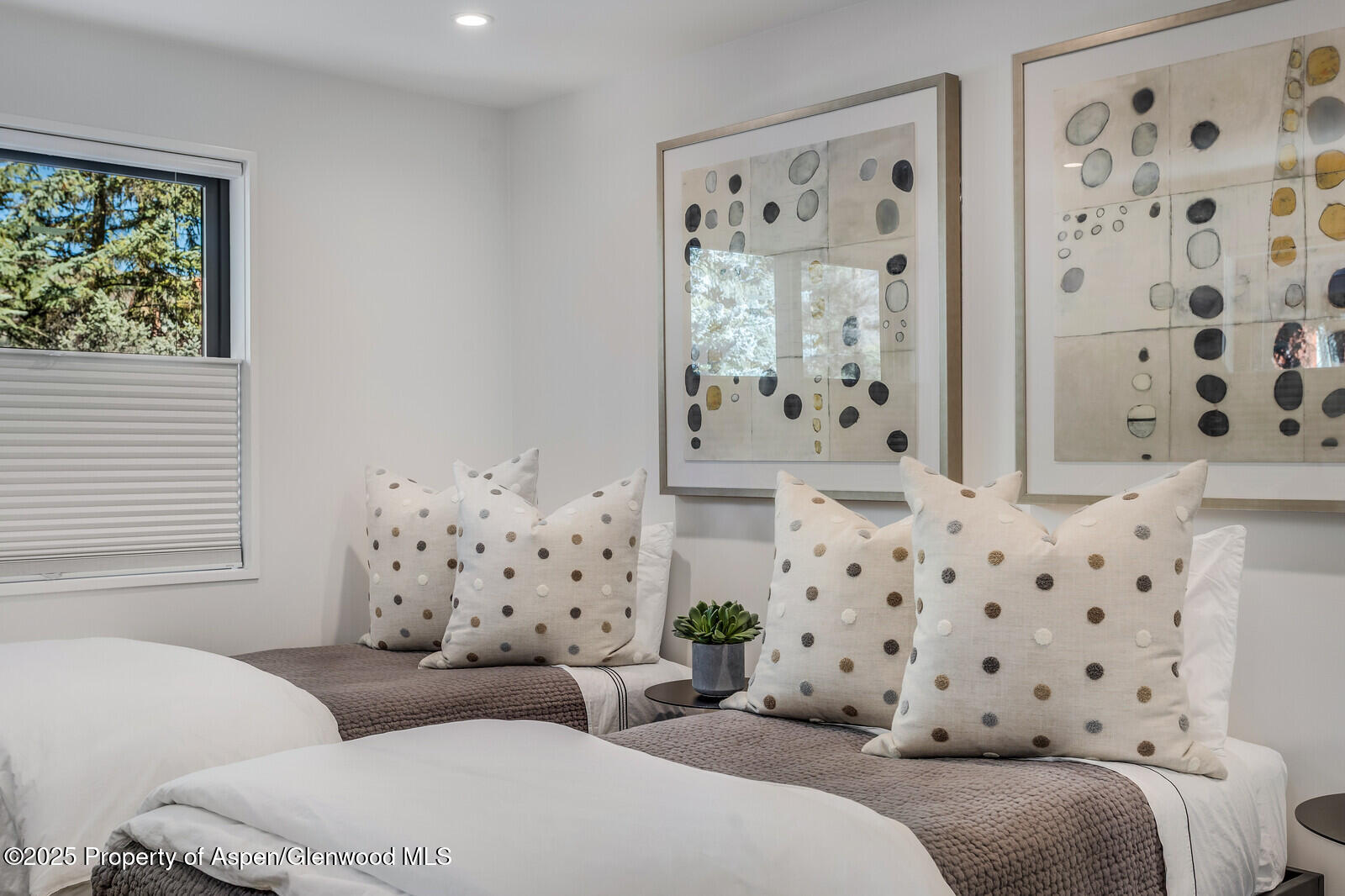 650 S Monarch Street Aspen CO 81611