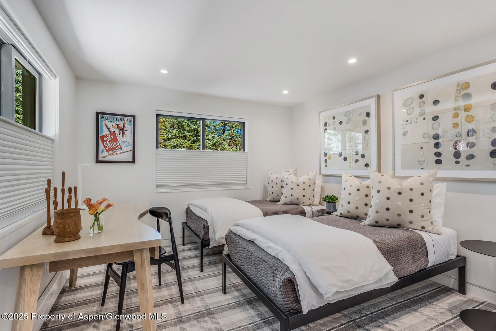 650 S Monarch Street Aspen CO 81611