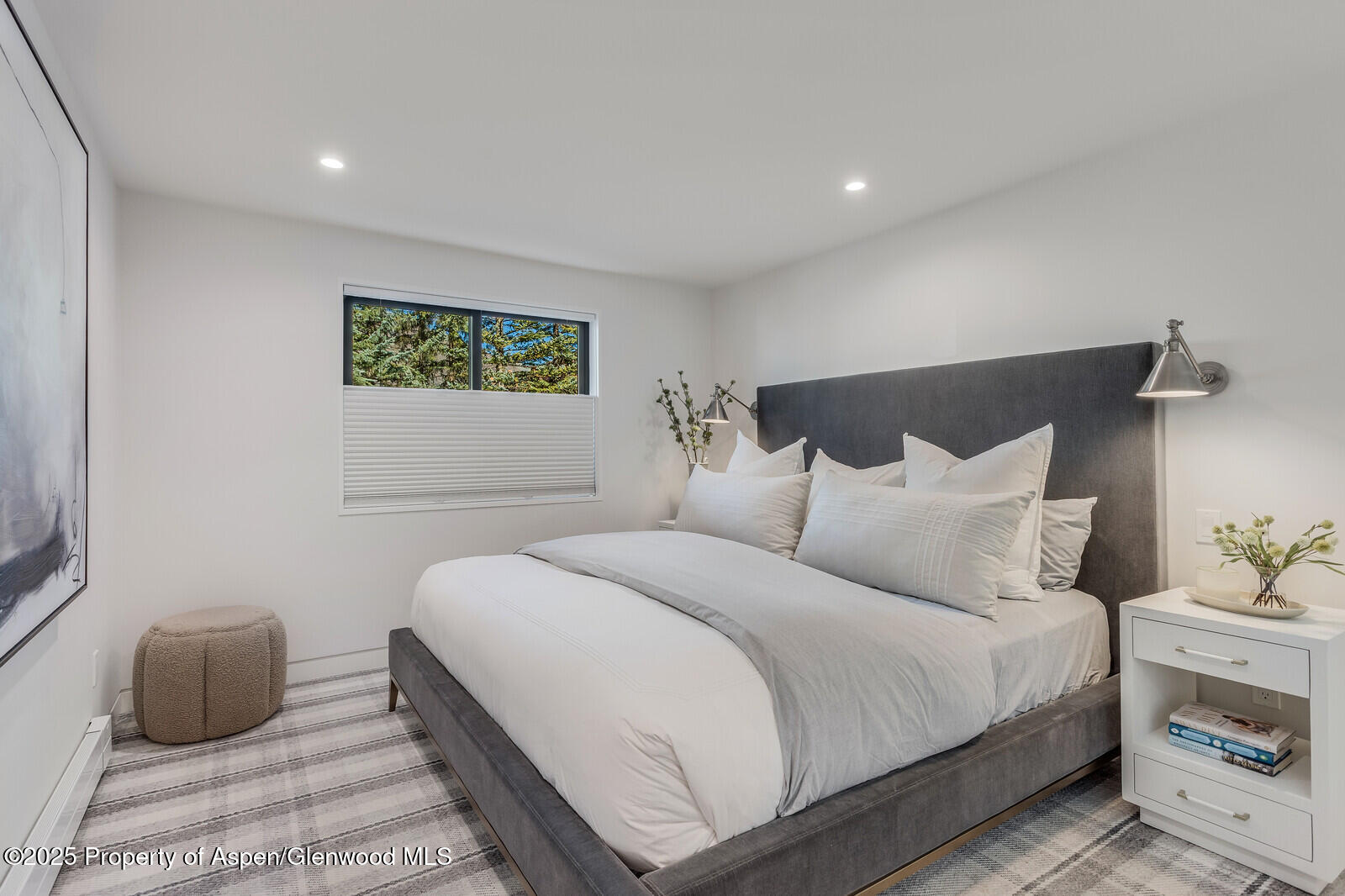 650 S Monarch Street Aspen CO 81611